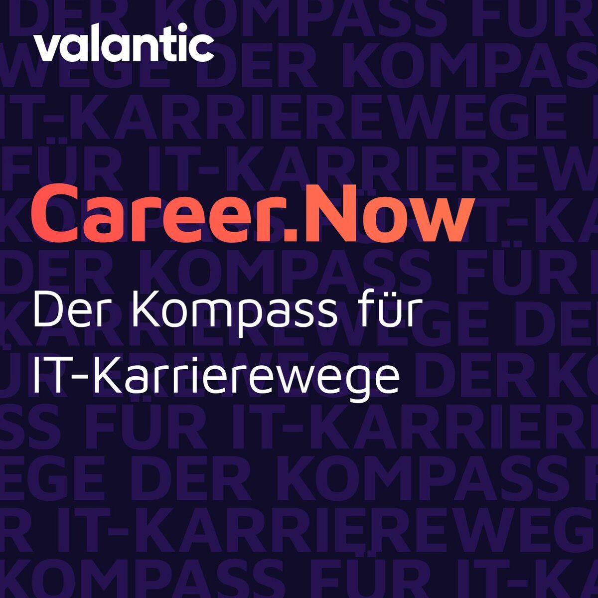 Show cover of Career.Now