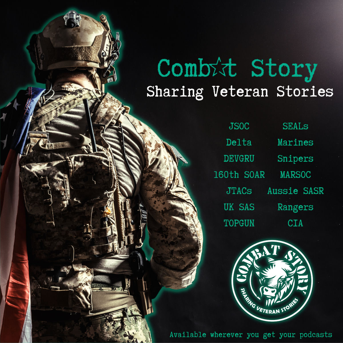 Show cover of Combat Story