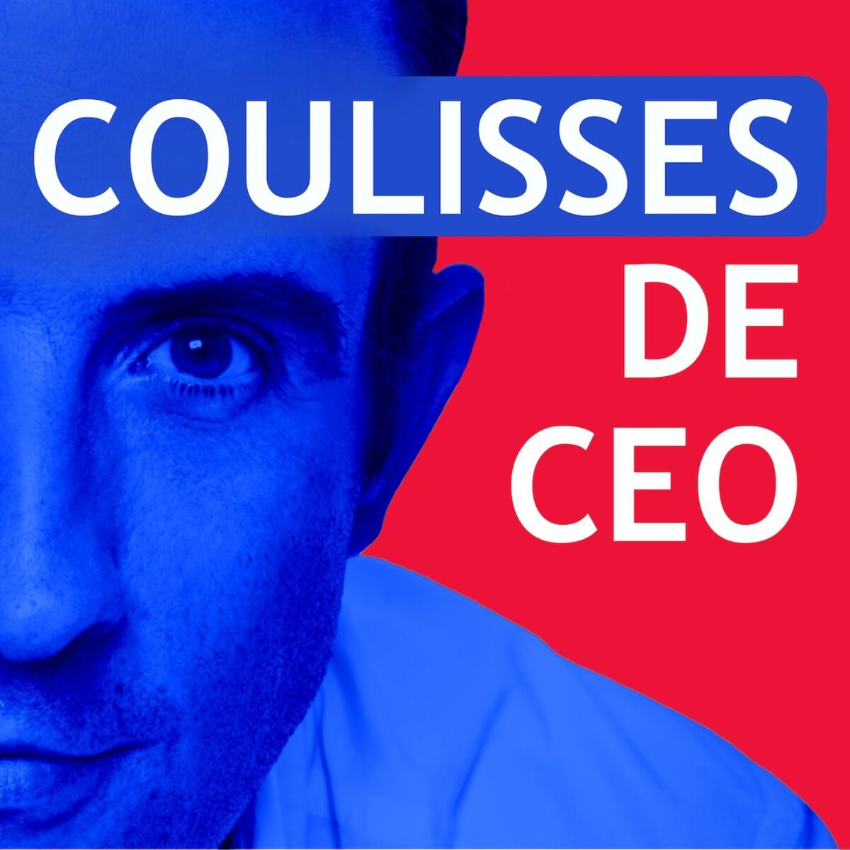 Show cover of Coulisses de CEO