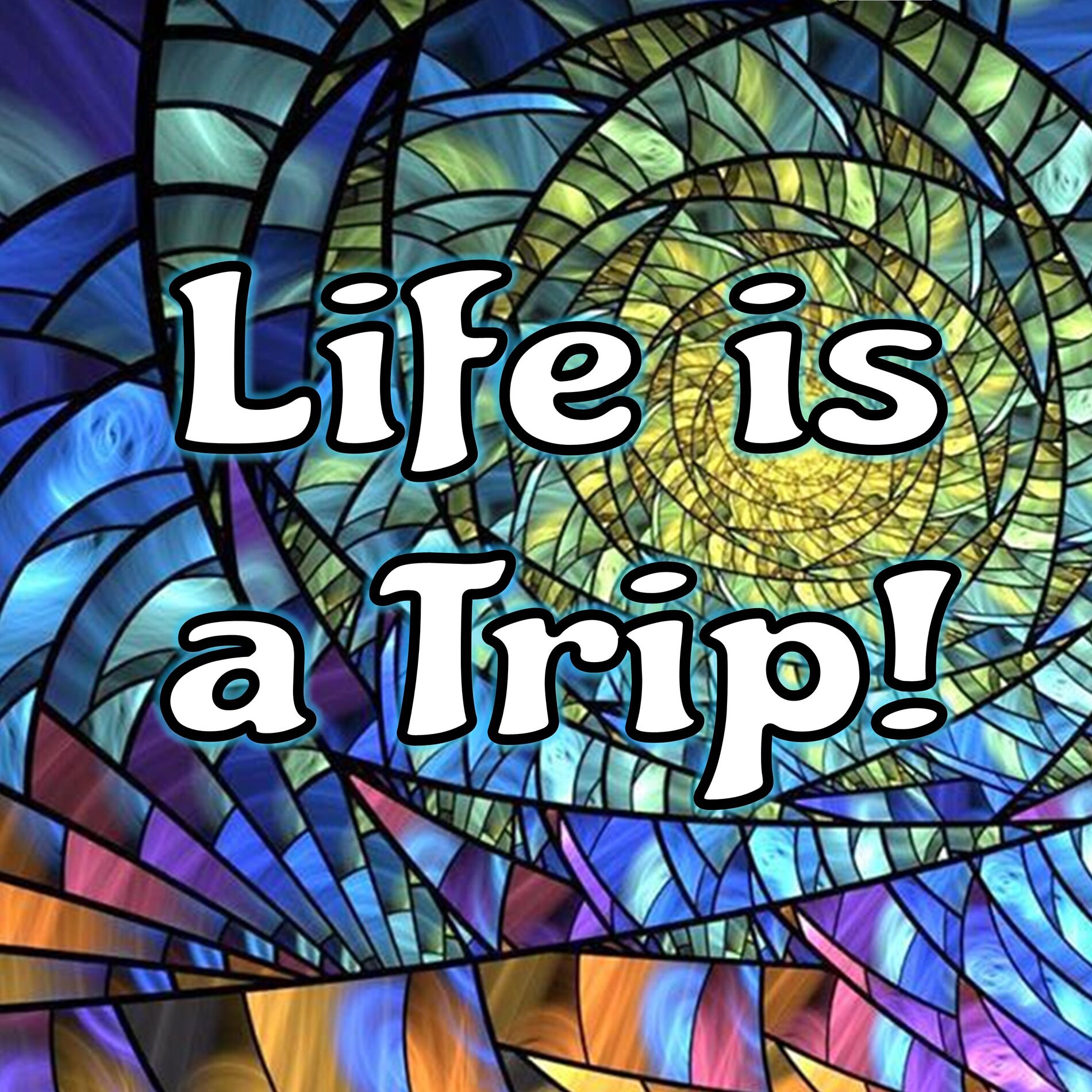 Show cover of Life is a Trip! Reincarnation and Afterlife Stories