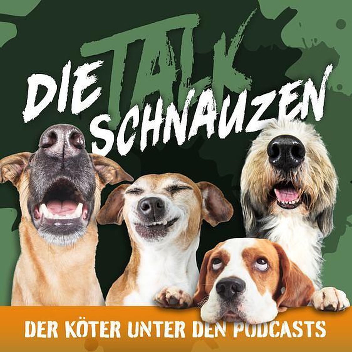 Show cover of Die Talkschnauzen