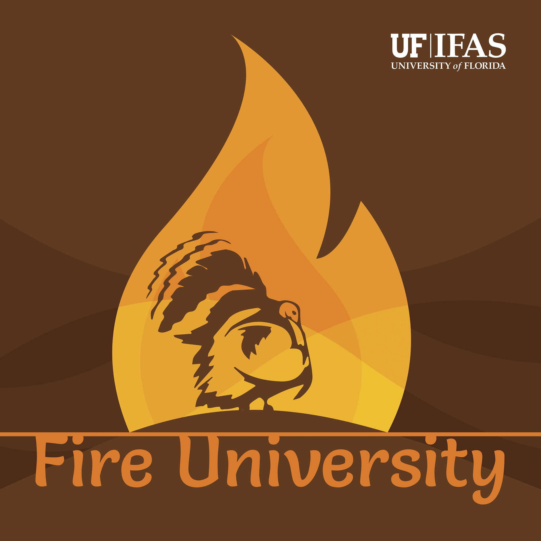 Show cover of Fire University