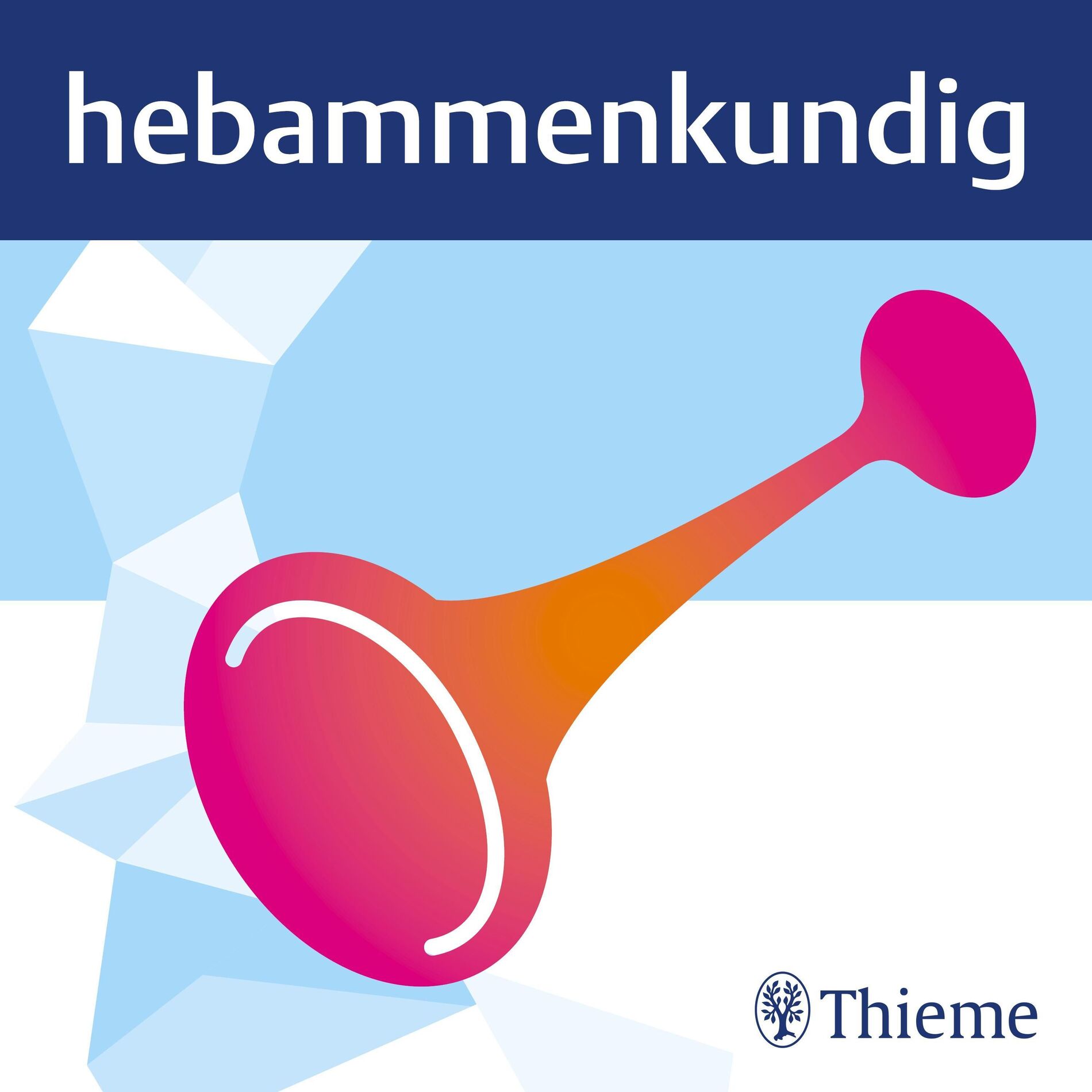 Show cover of Hebammenkundig
