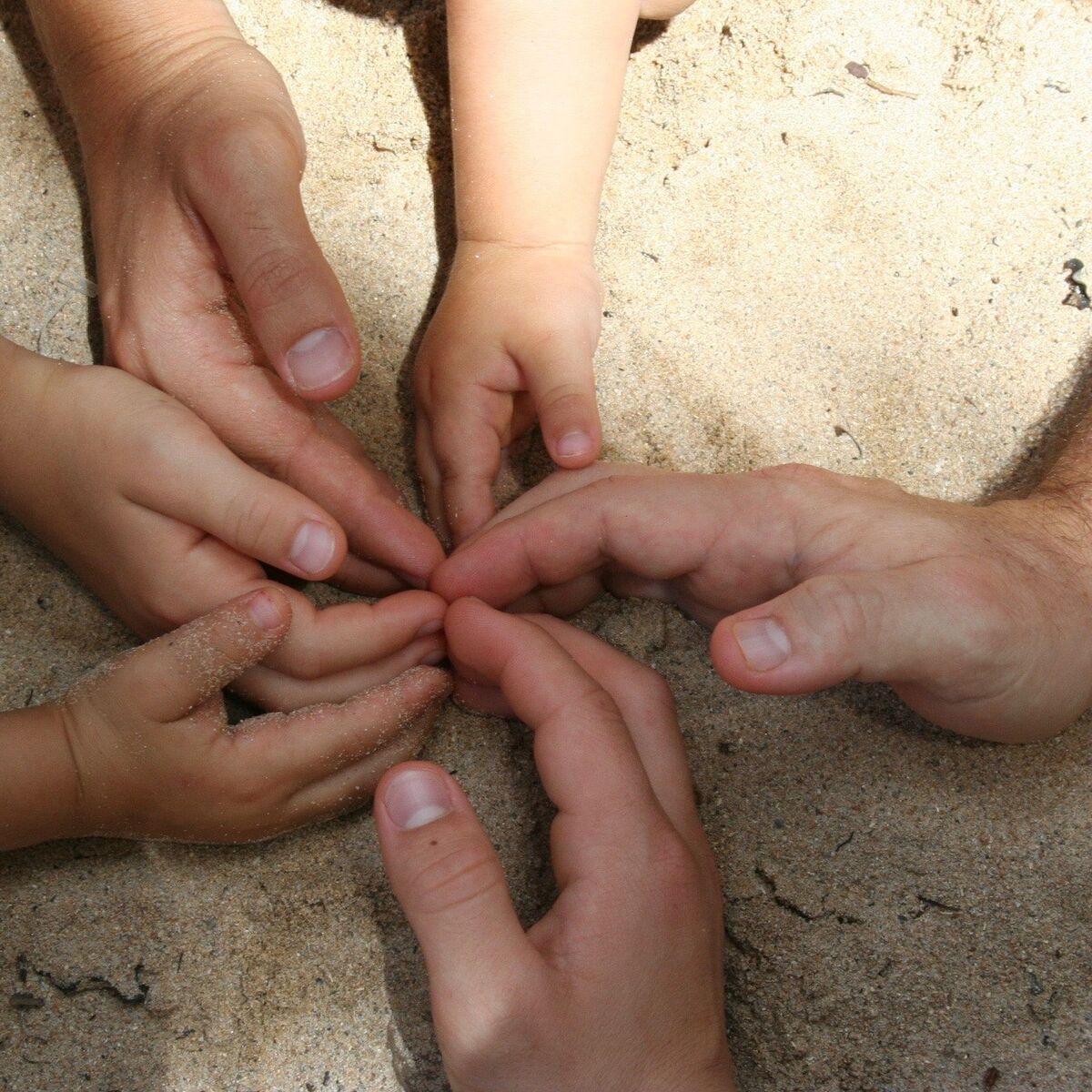 Show cover of Les 6 doigts de la main
