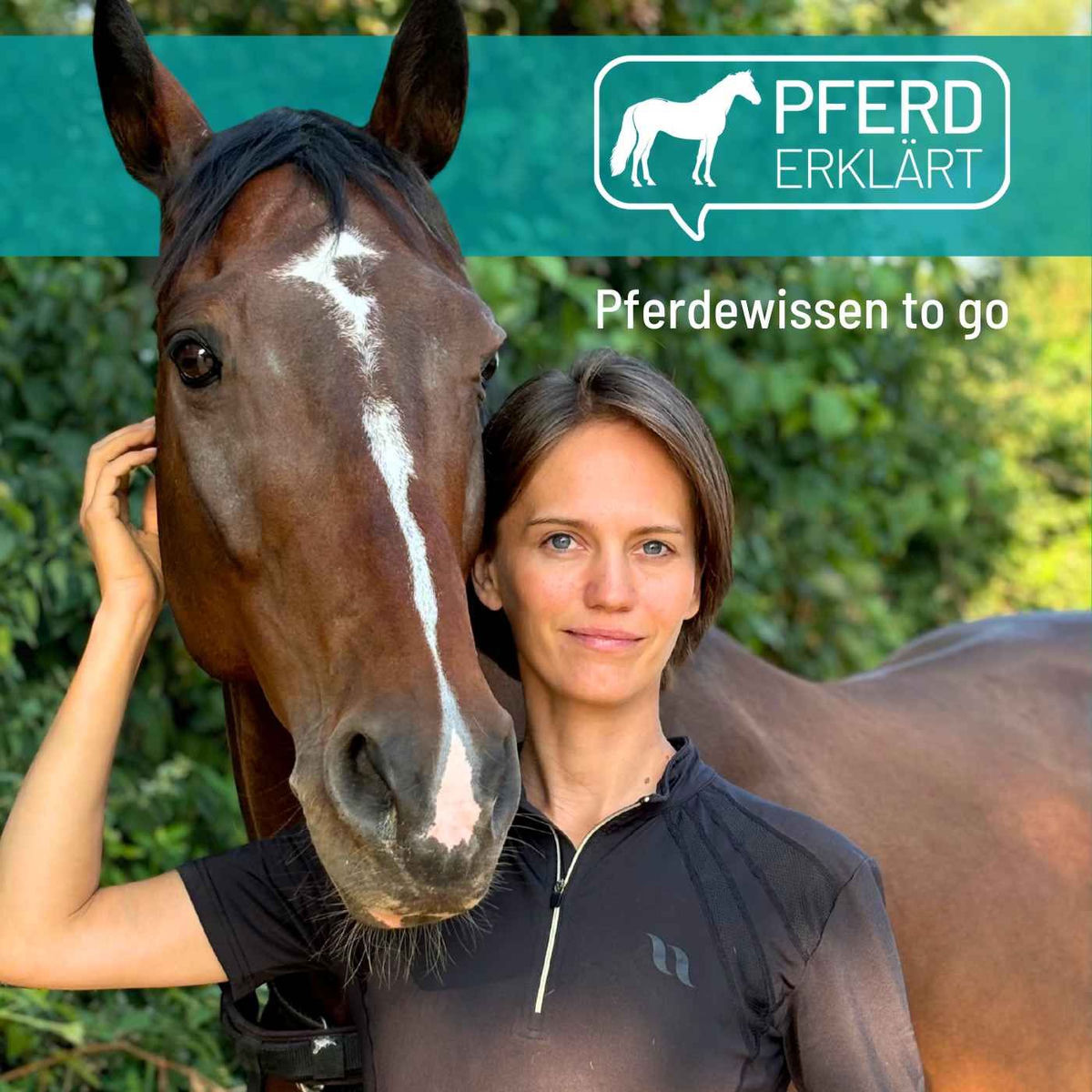 Show cover of Pferd erklärt
