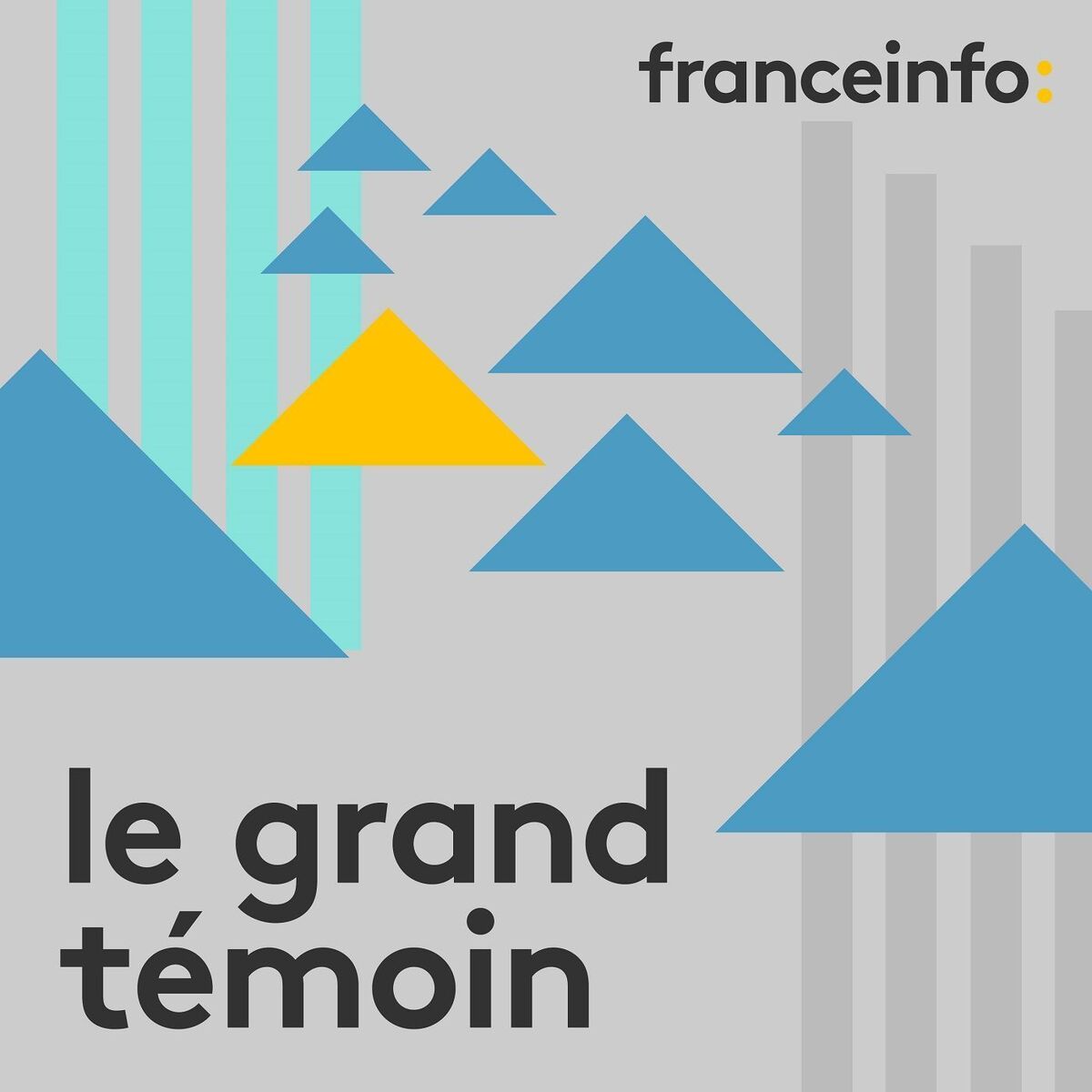 Show cover of Le grand témoin