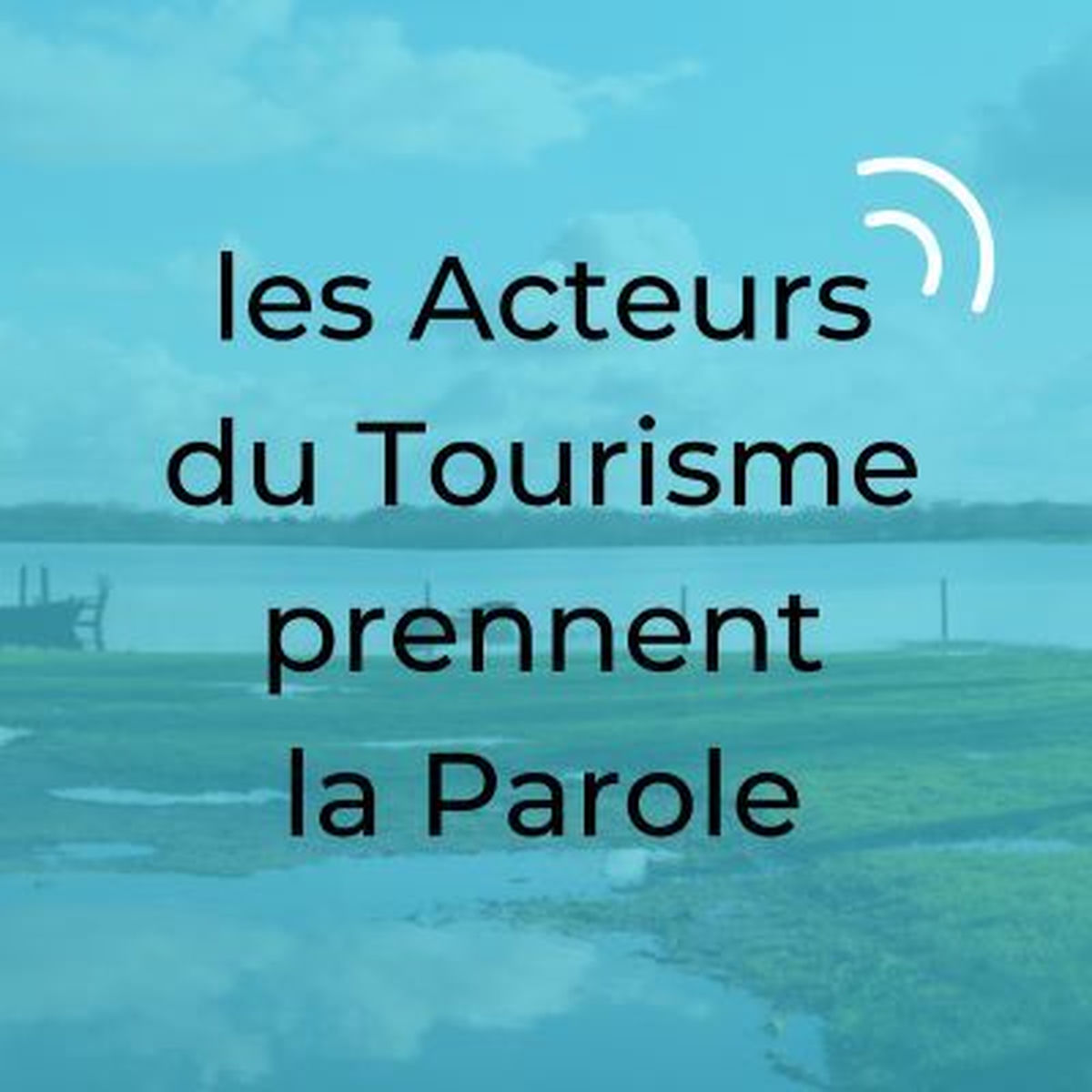 Show cover of Lac de Grand Lieu - les acteurs du tourisme prennent la parole