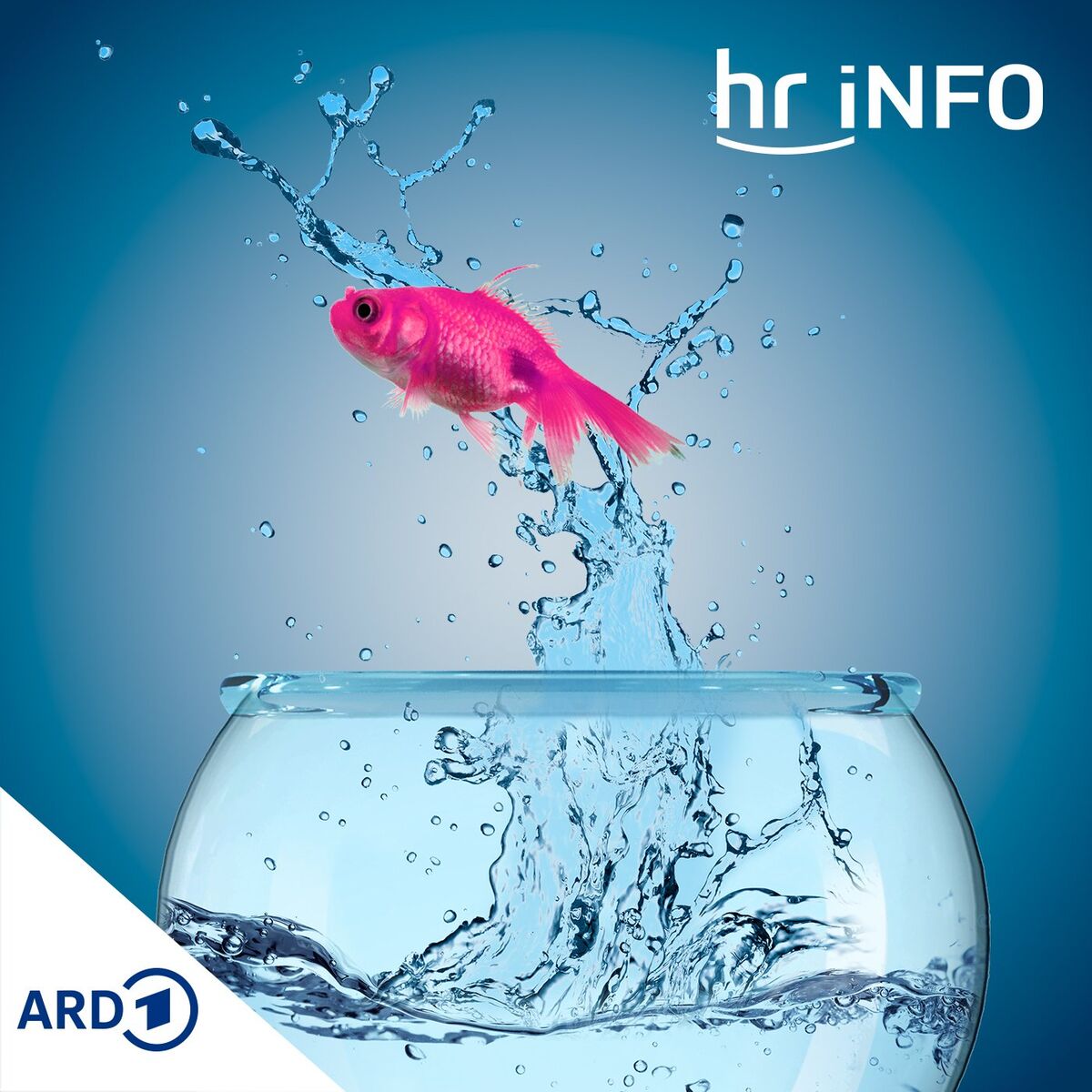 Show cover of hr INFO Die Reportage