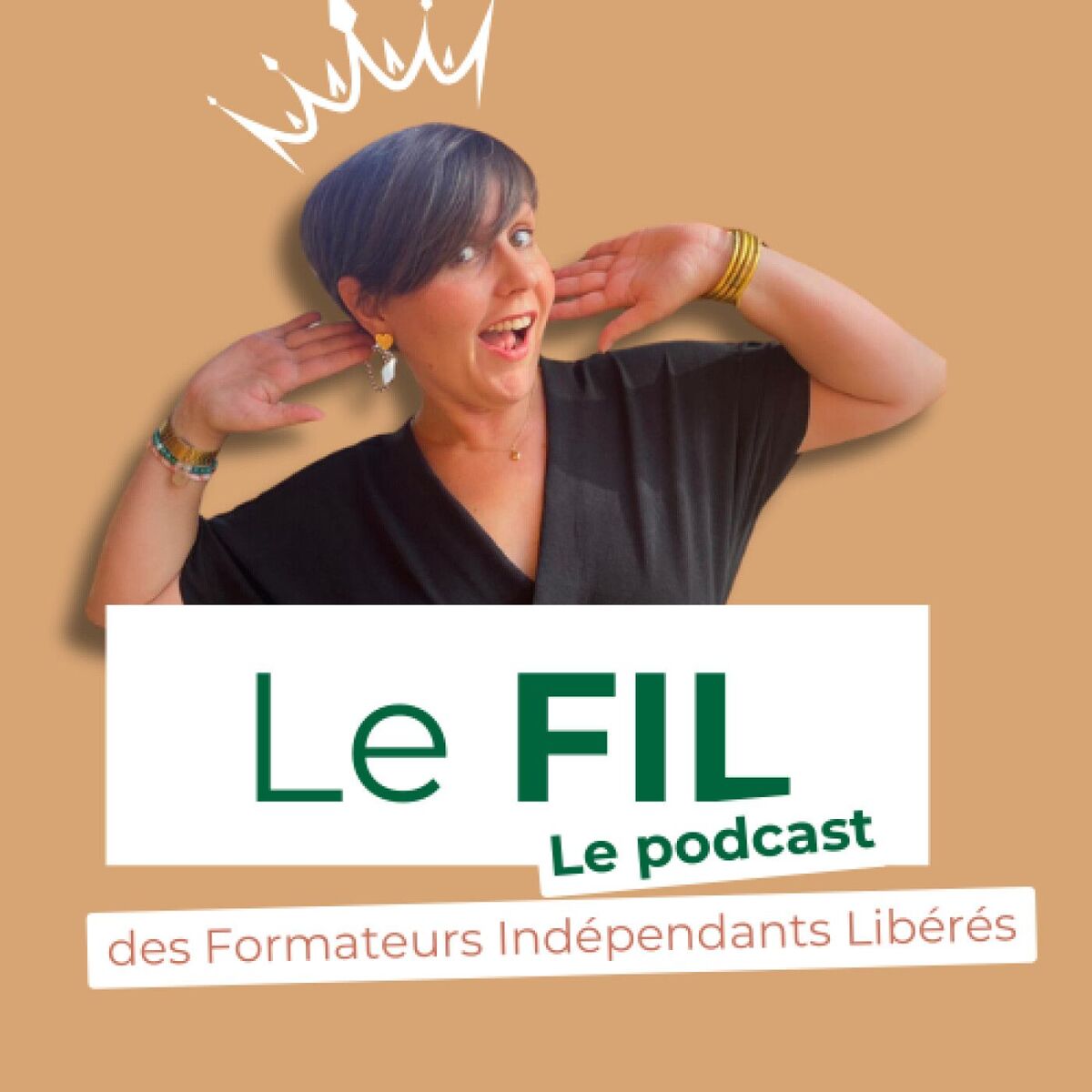 Show cover of Le FIL - Le podcast des Formateurs Indépendants Libérés