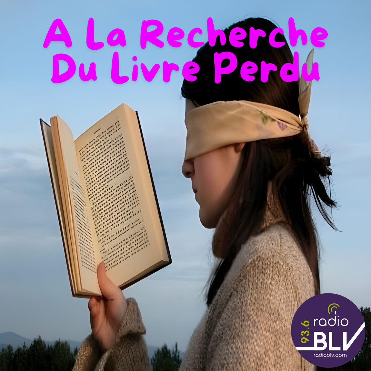 Show cover of A La Recherche Du Bouquin Perdu
