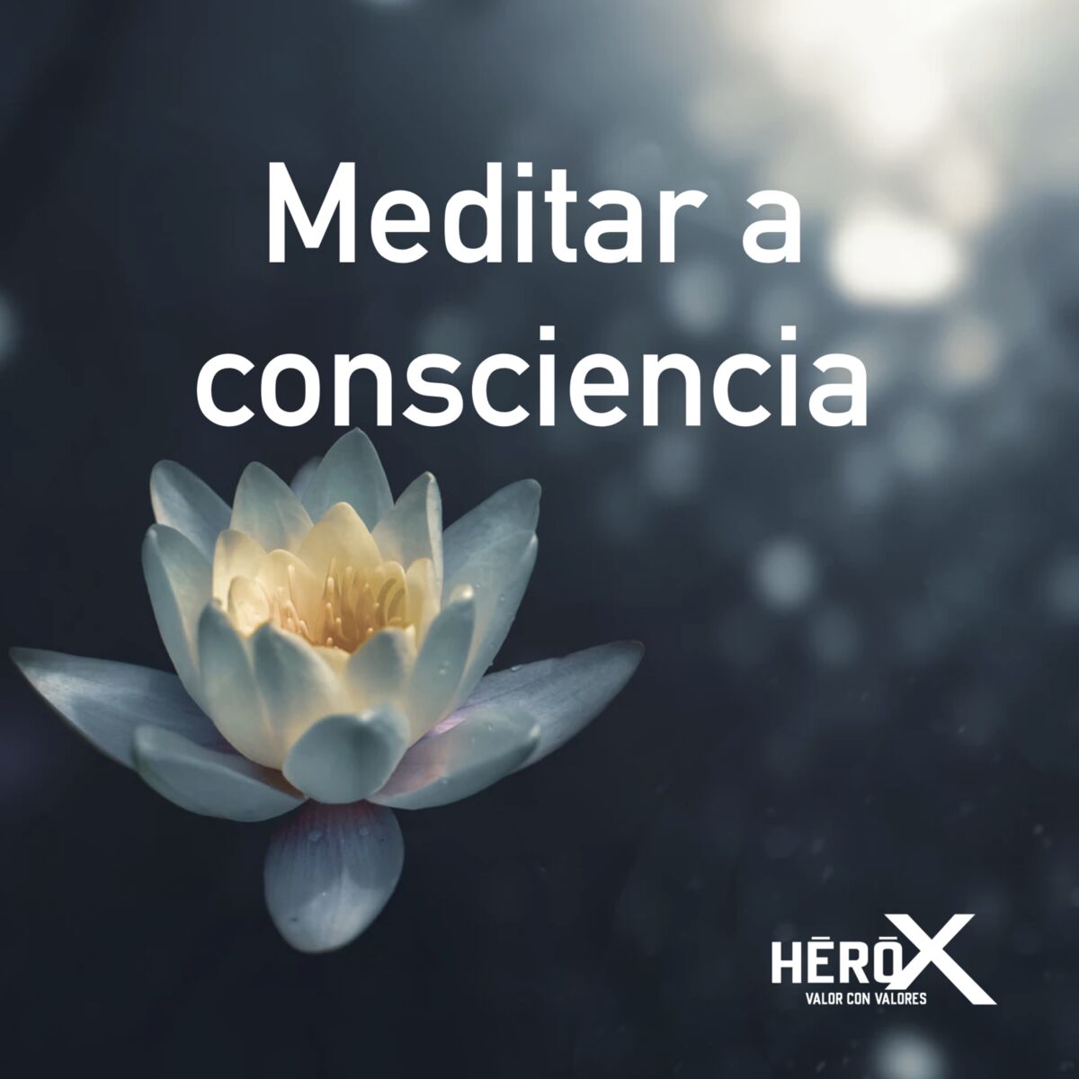 Show cover of Meditar a consciencia