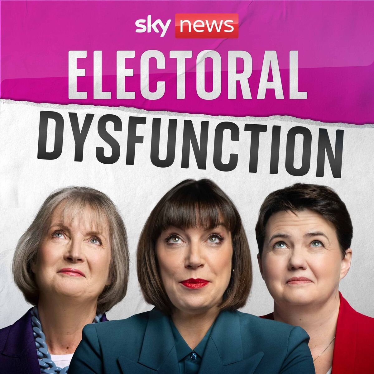 Show cover of Electoral Dysfunction
