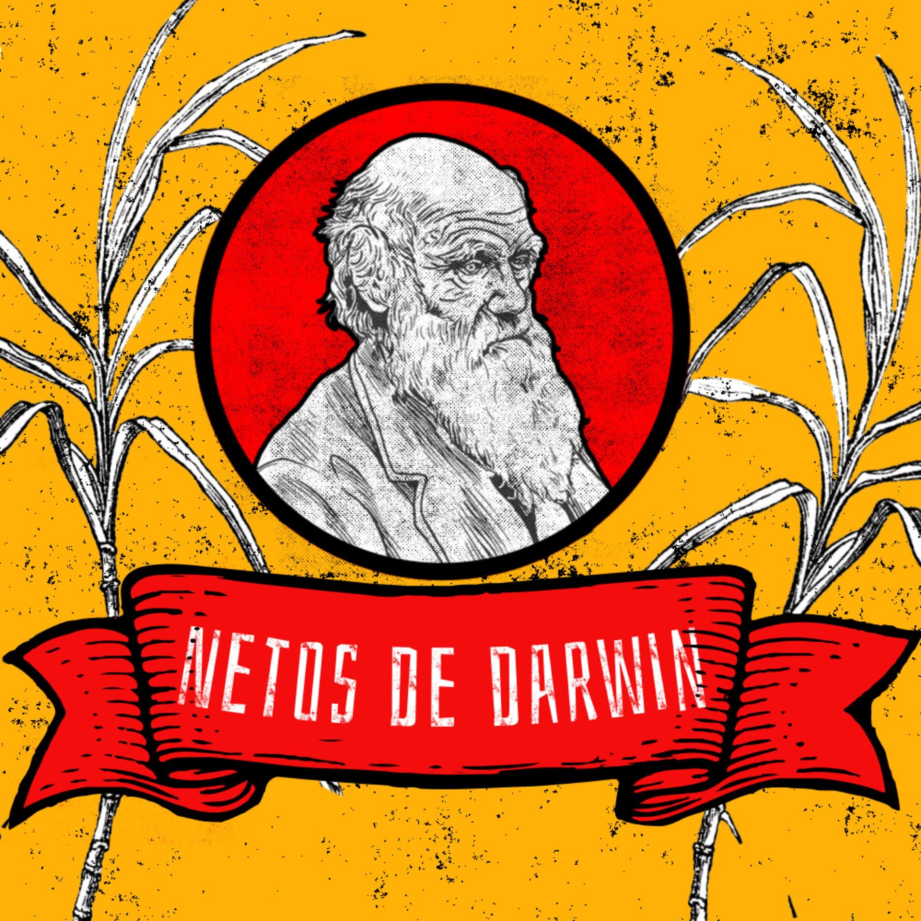 Show cover of Netos de Darwin