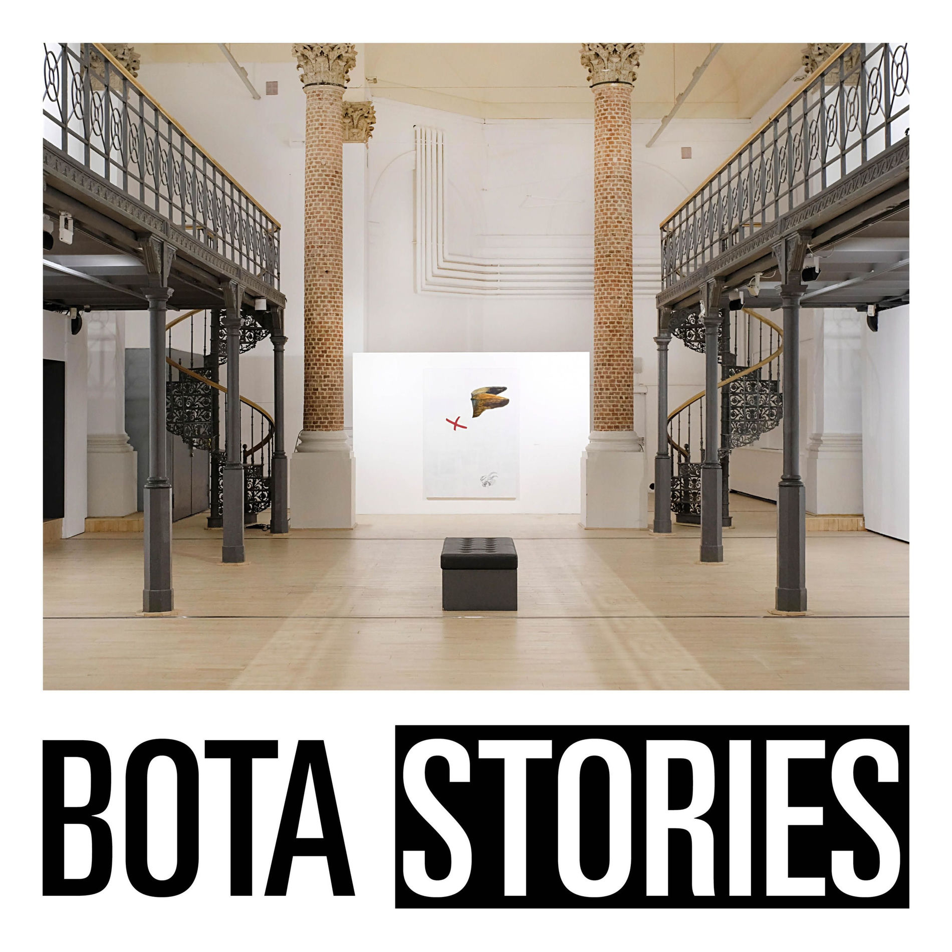 Show cover of BOTA STORIES