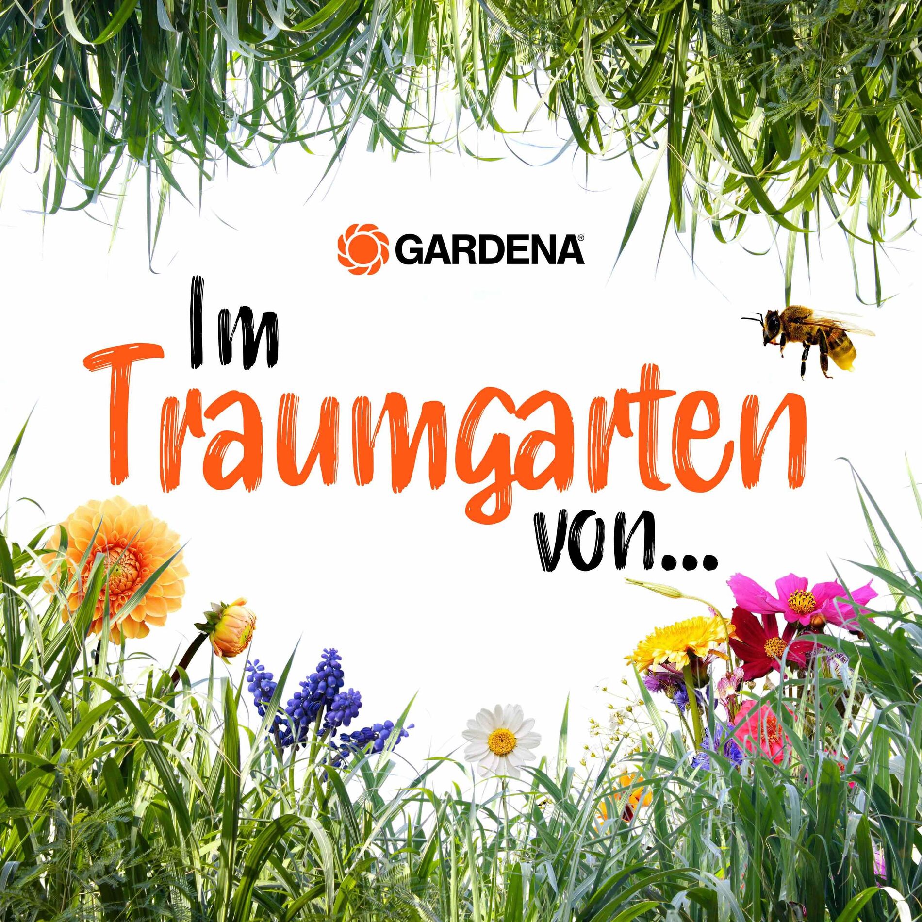 Show cover of Im Traumgarten von...