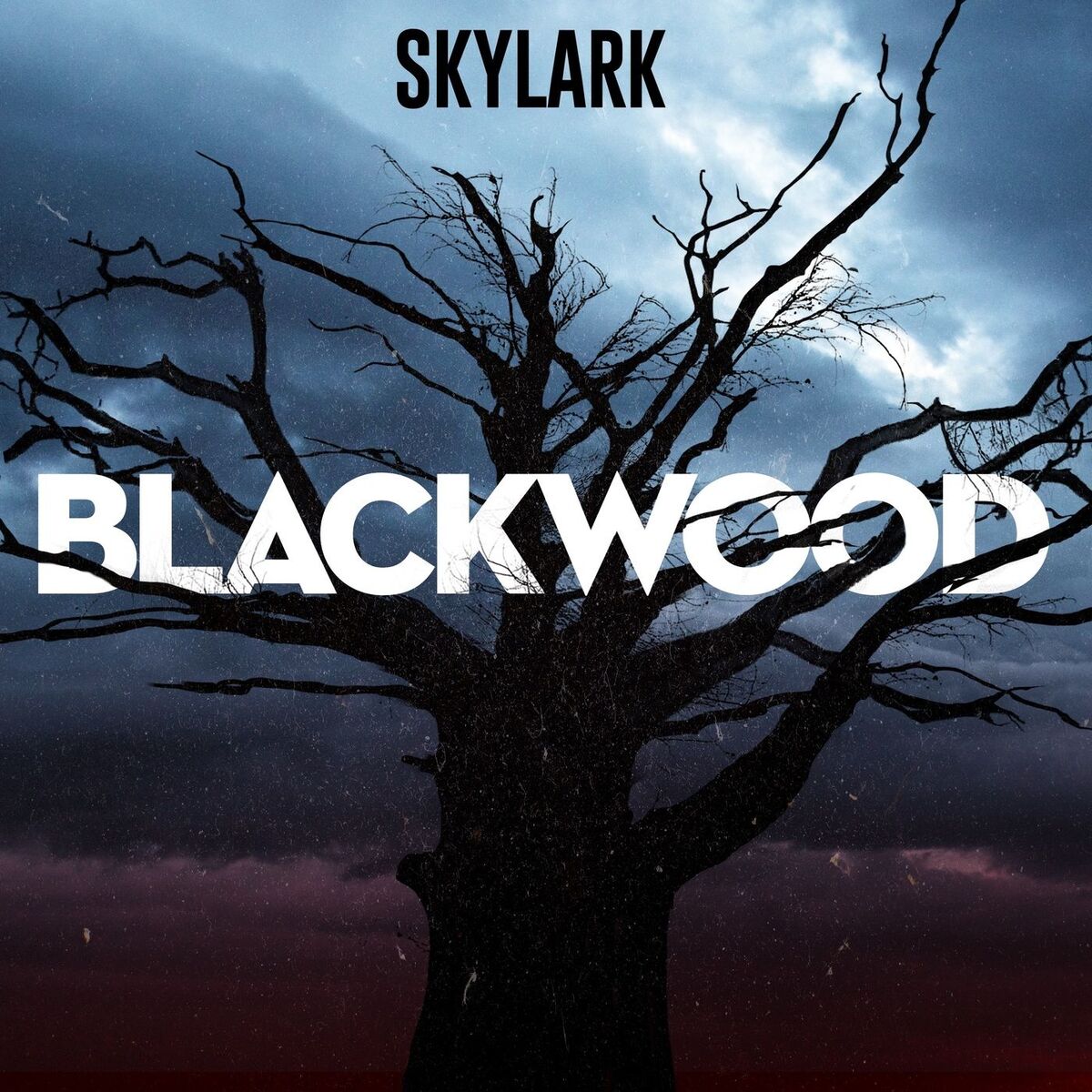 Show cover of Blackwood