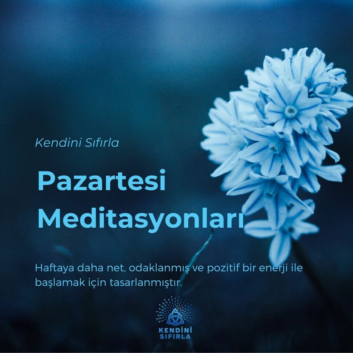 Show cover of Pazartesi Meditasyonları