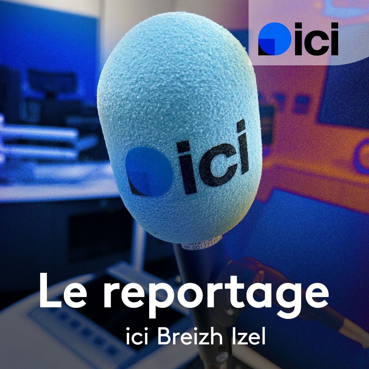 Show cover of Le reportage de 