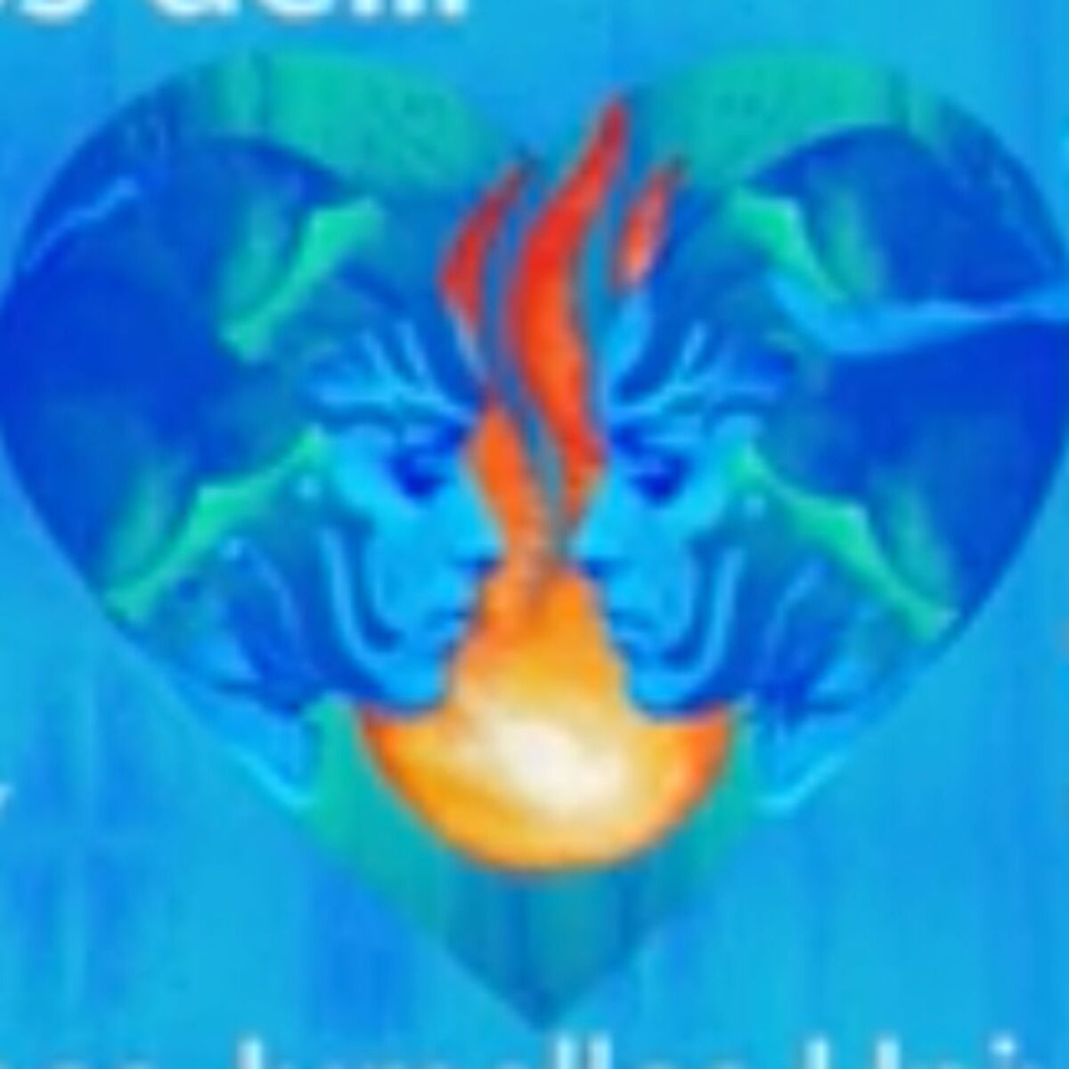 Show cover of Flammes Jumelles Universelles