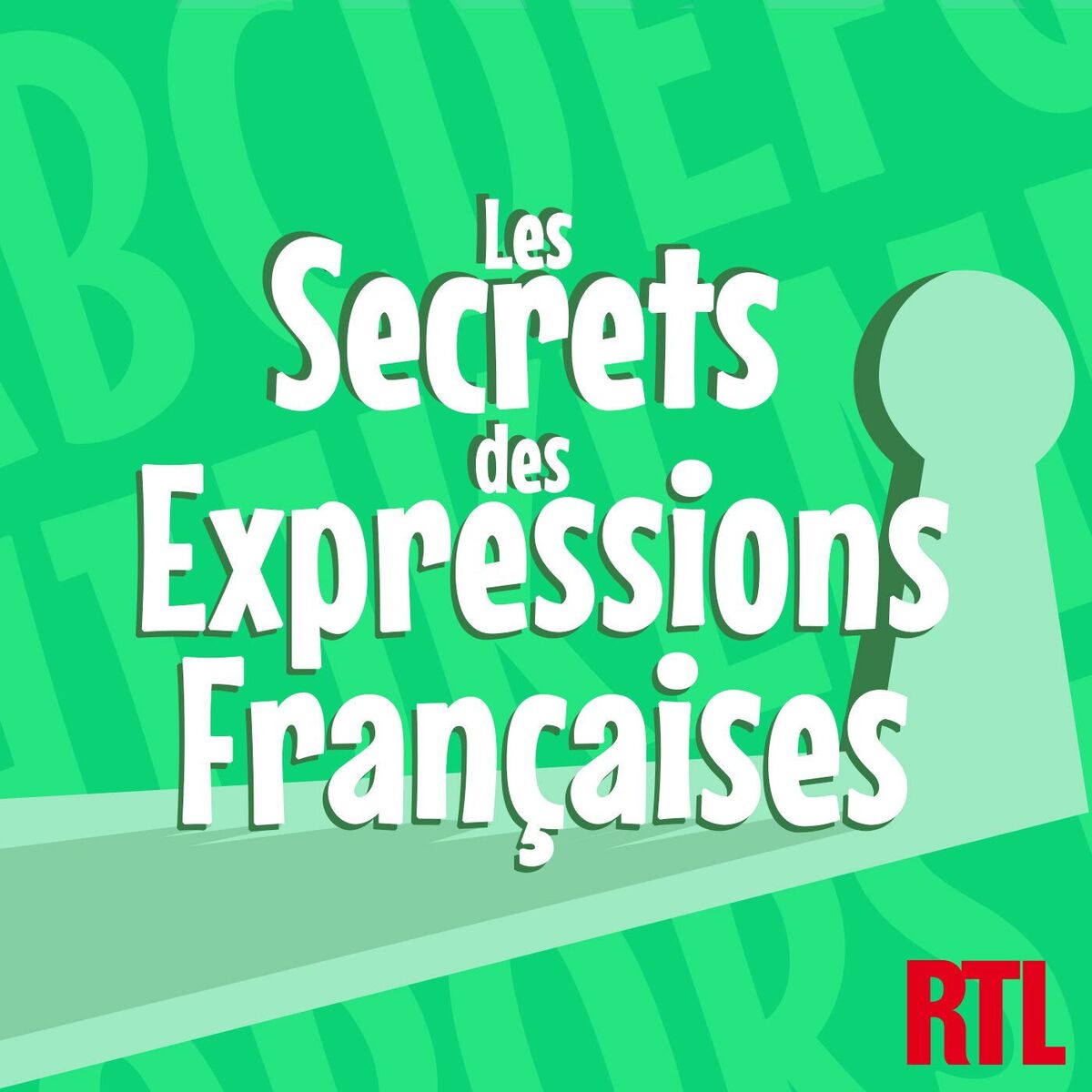 Show cover of Les secrets des expressions françaises