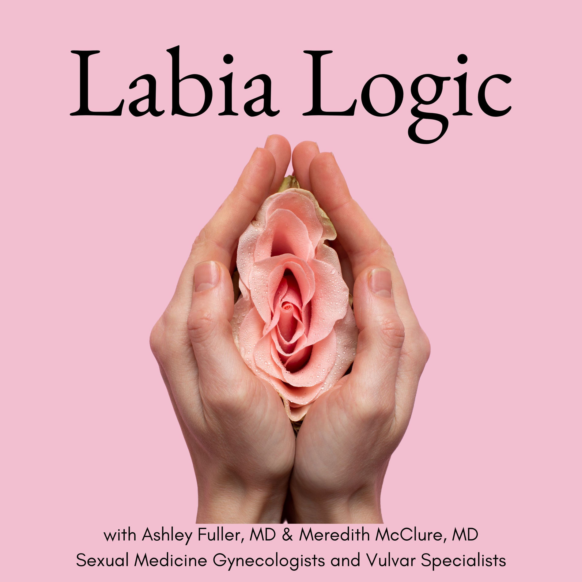 Show cover of Labia Logic