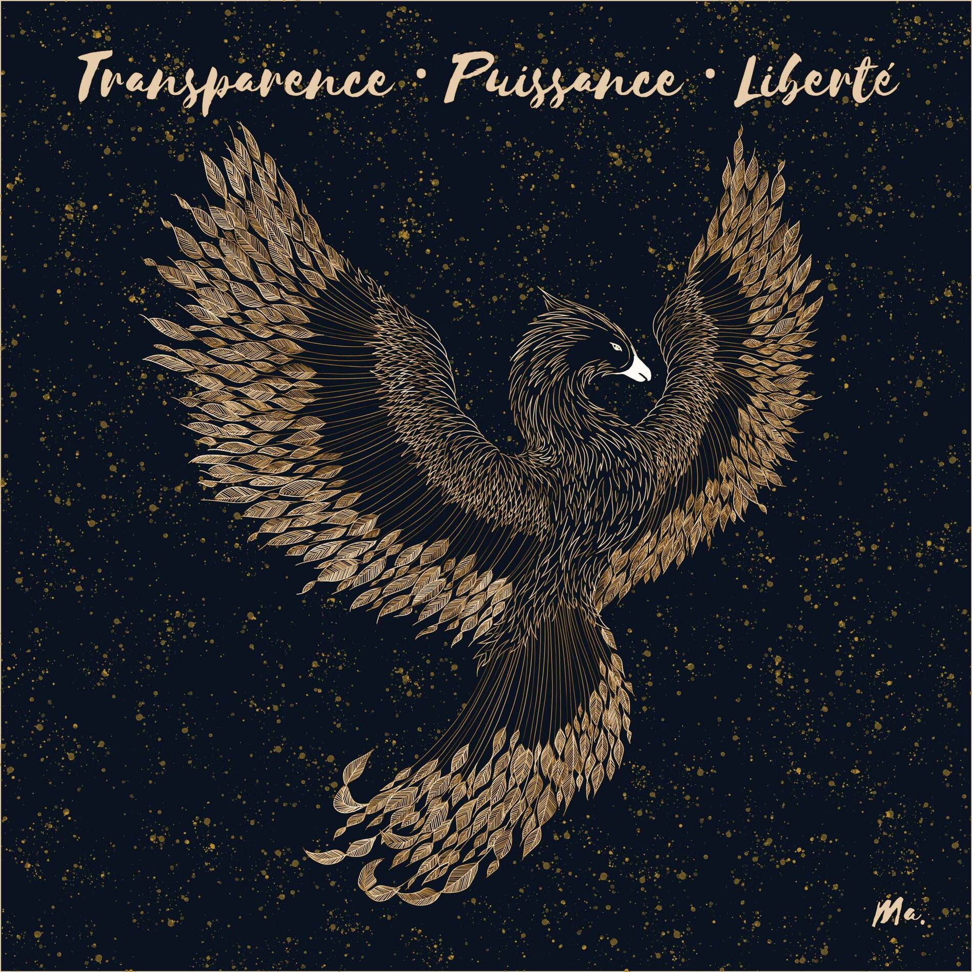 Show cover of Transparence . Puissance . Liberté
