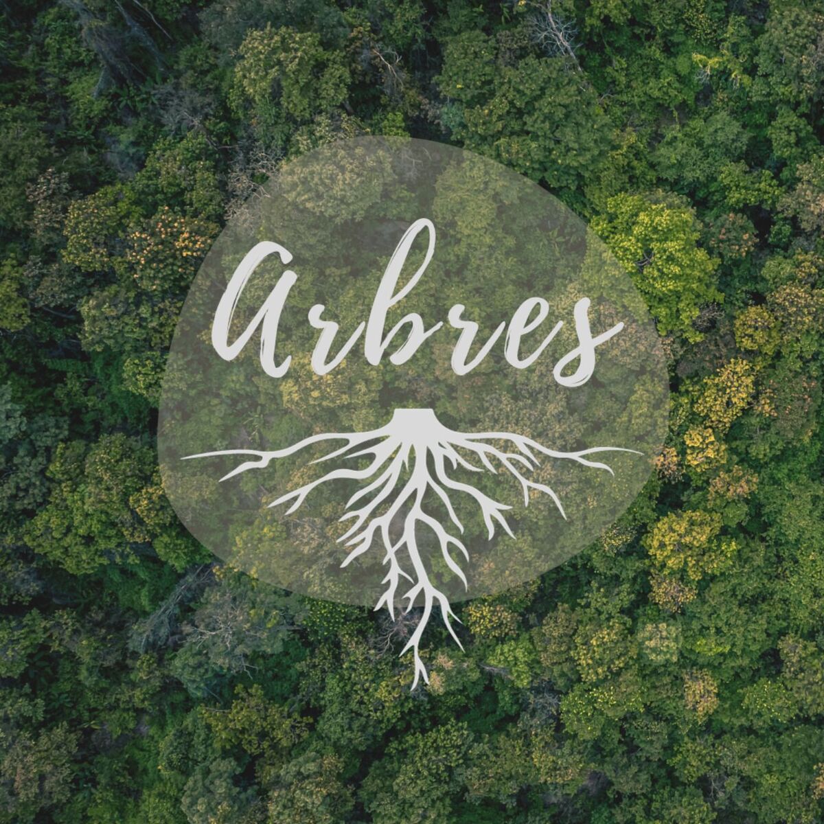 Show cover of Arbres