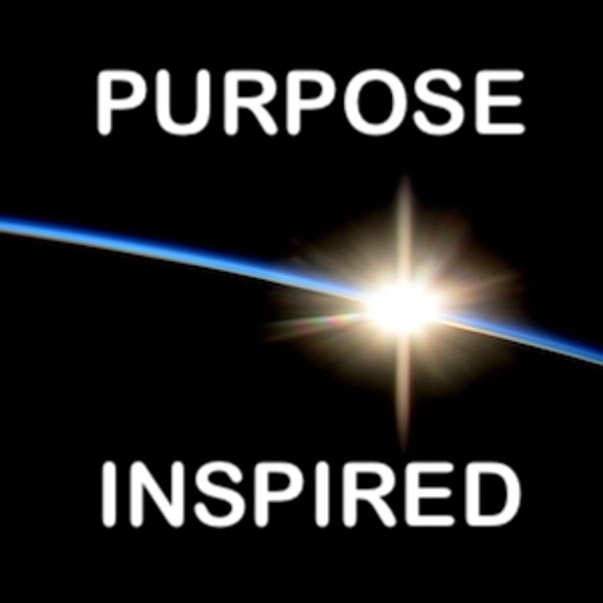Show cover of Purpose Inspired: by Wayne Visser