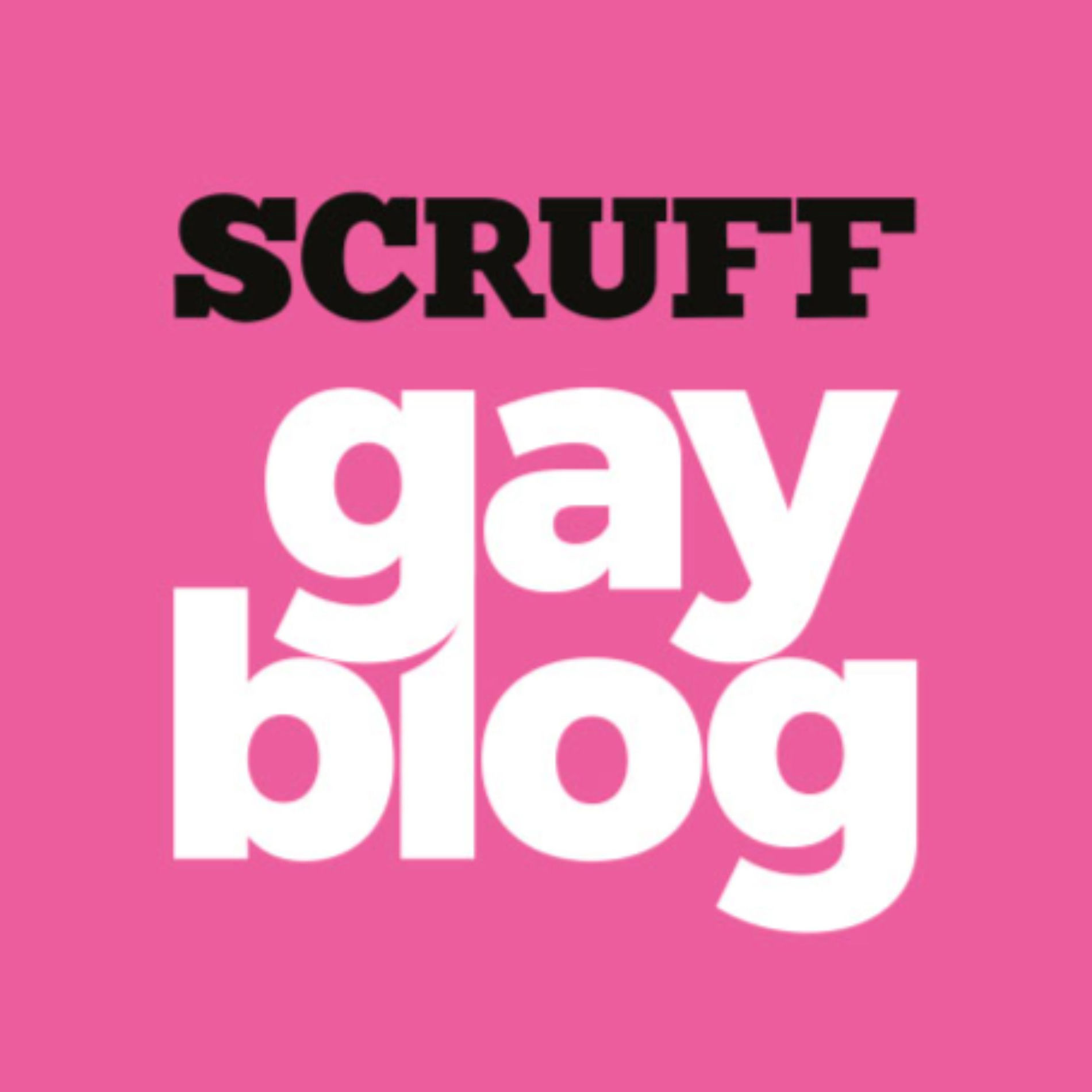 Show cover of GAY BLOG BR