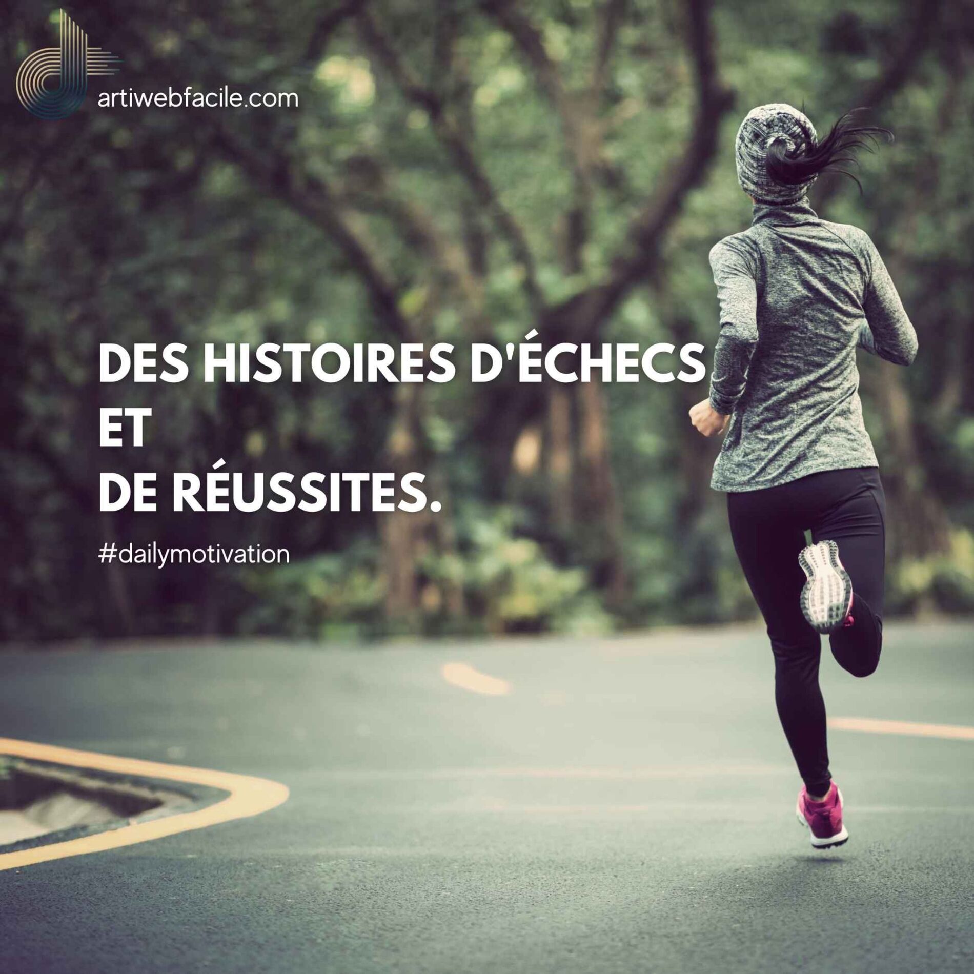 Show cover of Des histoires d'échecs et de réussites.