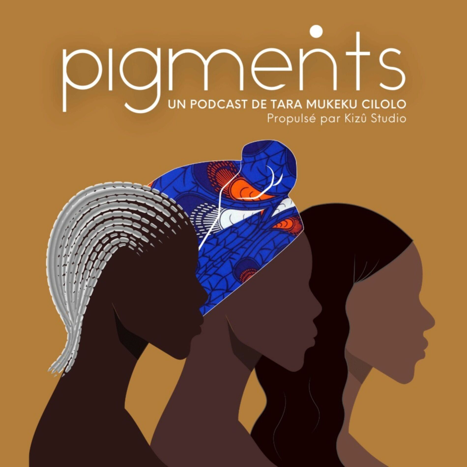 Show cover of Pigments