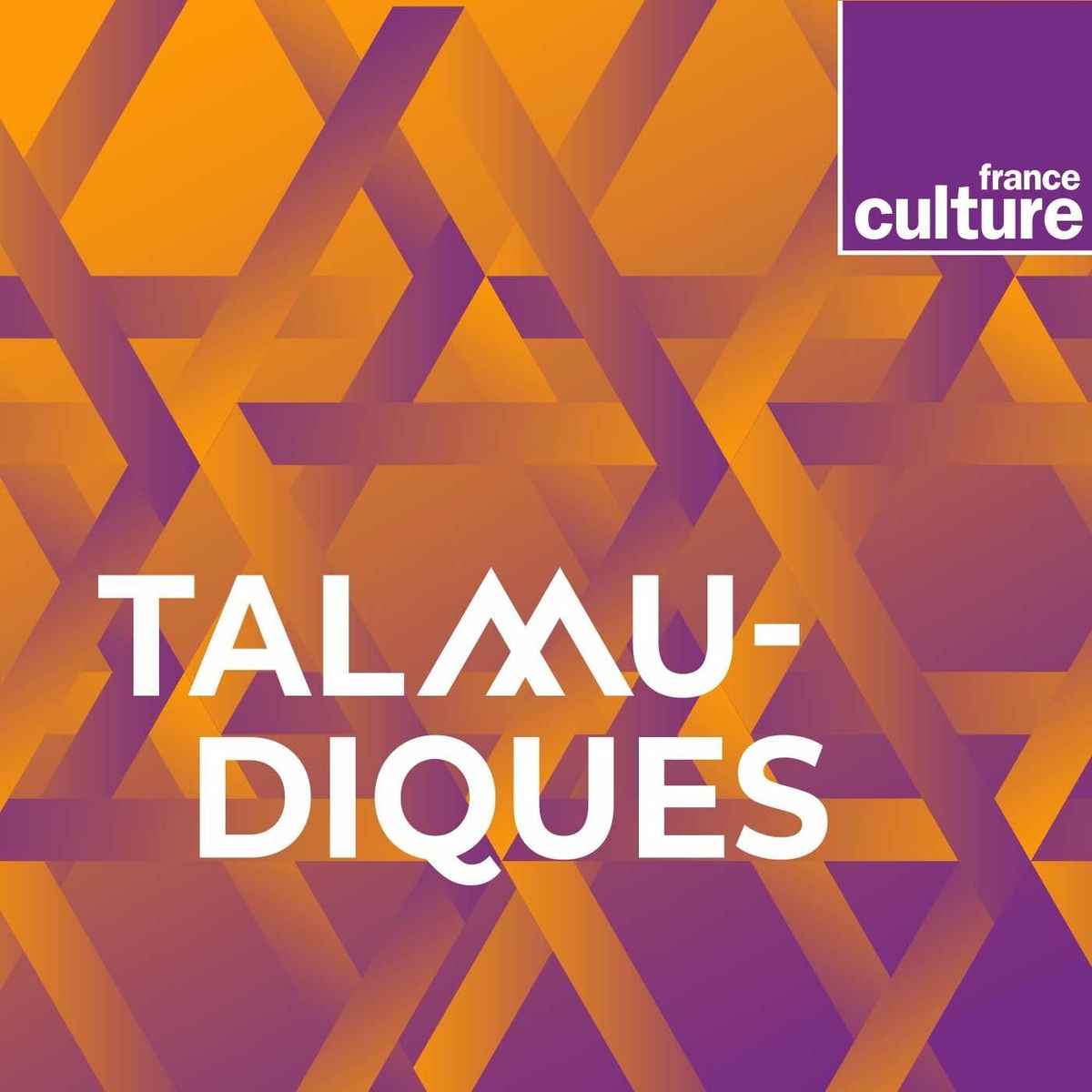 Show cover of Talmudiques