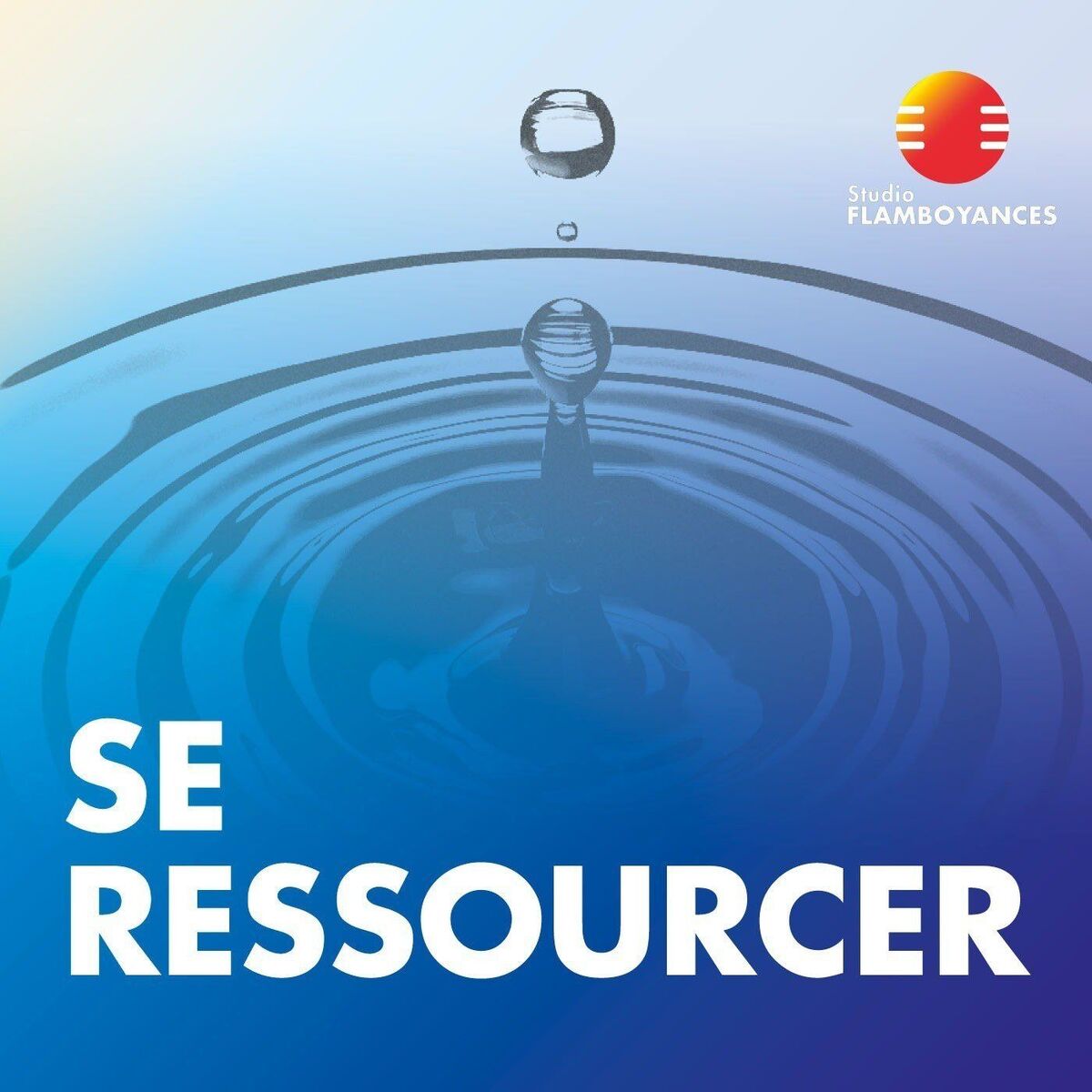 Show cover of Se Ressourcer