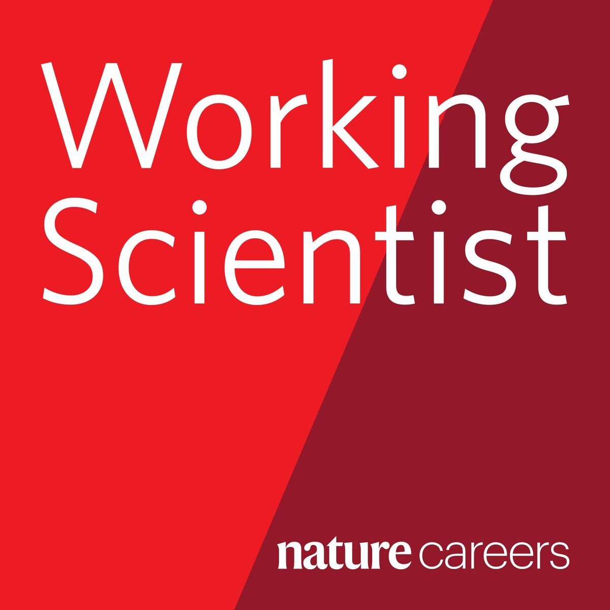 Show cover of Working Scientist