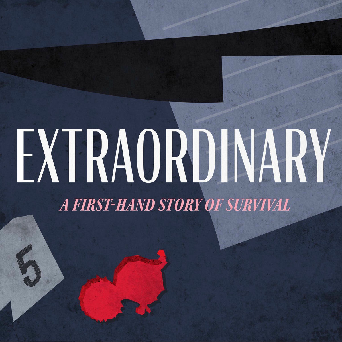 Show cover of Extraordinary: A First-Hand Story of Survival