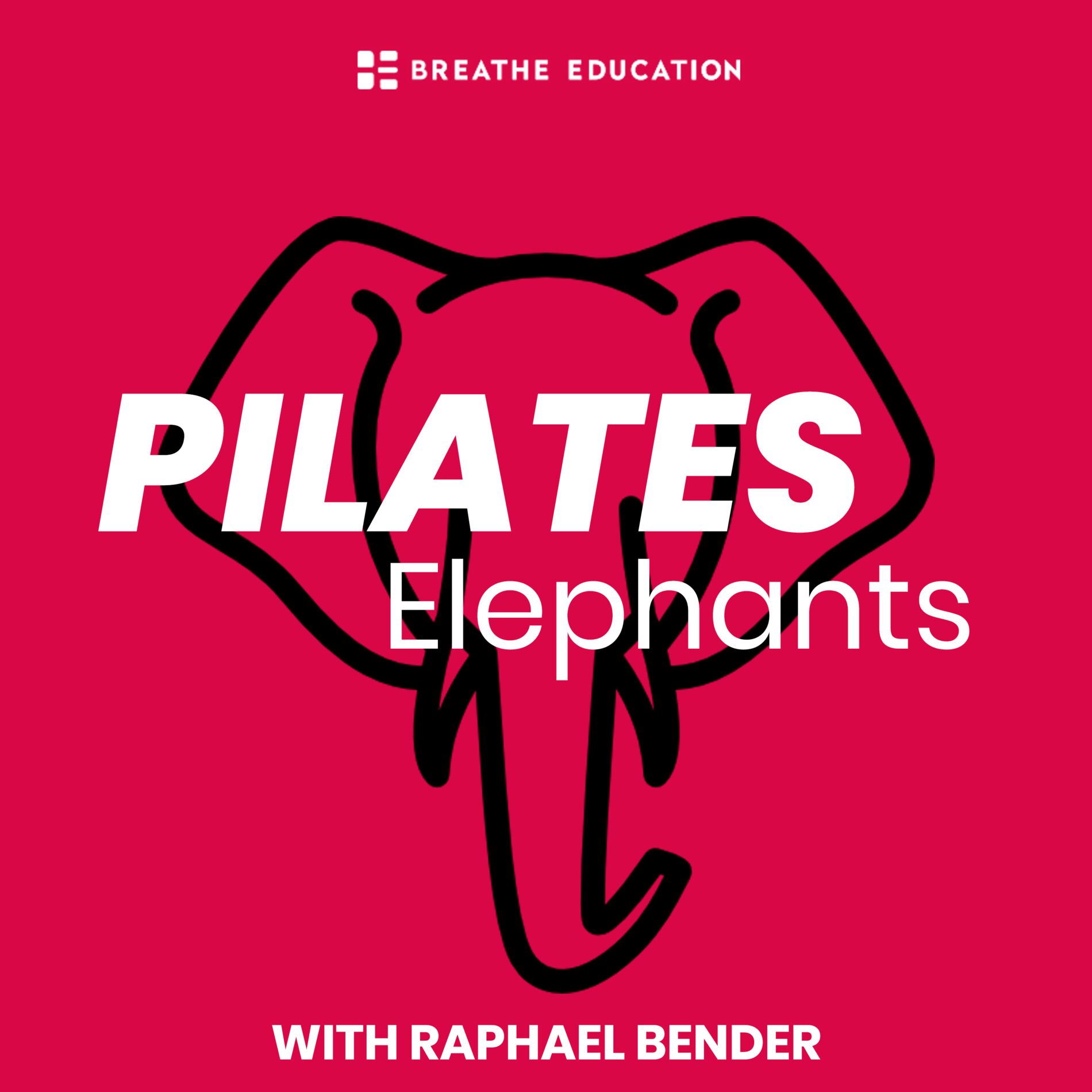 Show cover of Pilates Elephants