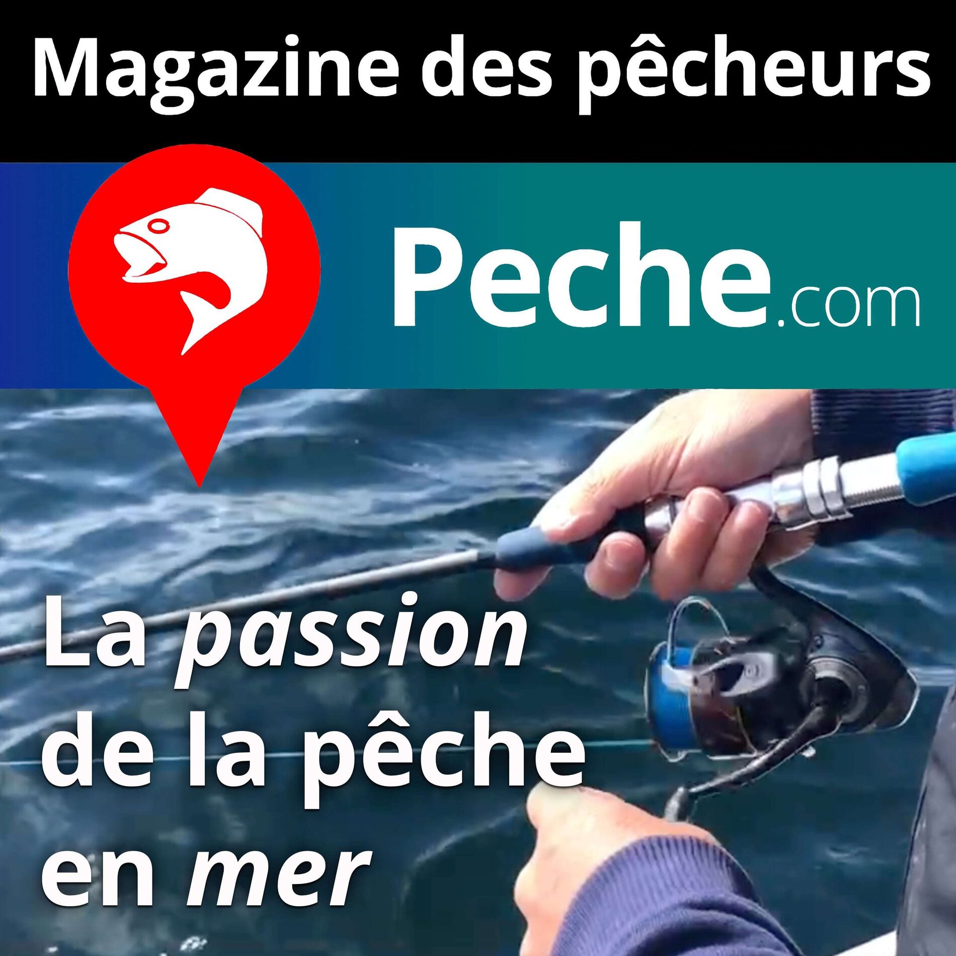 Show cover of Pêche en mer