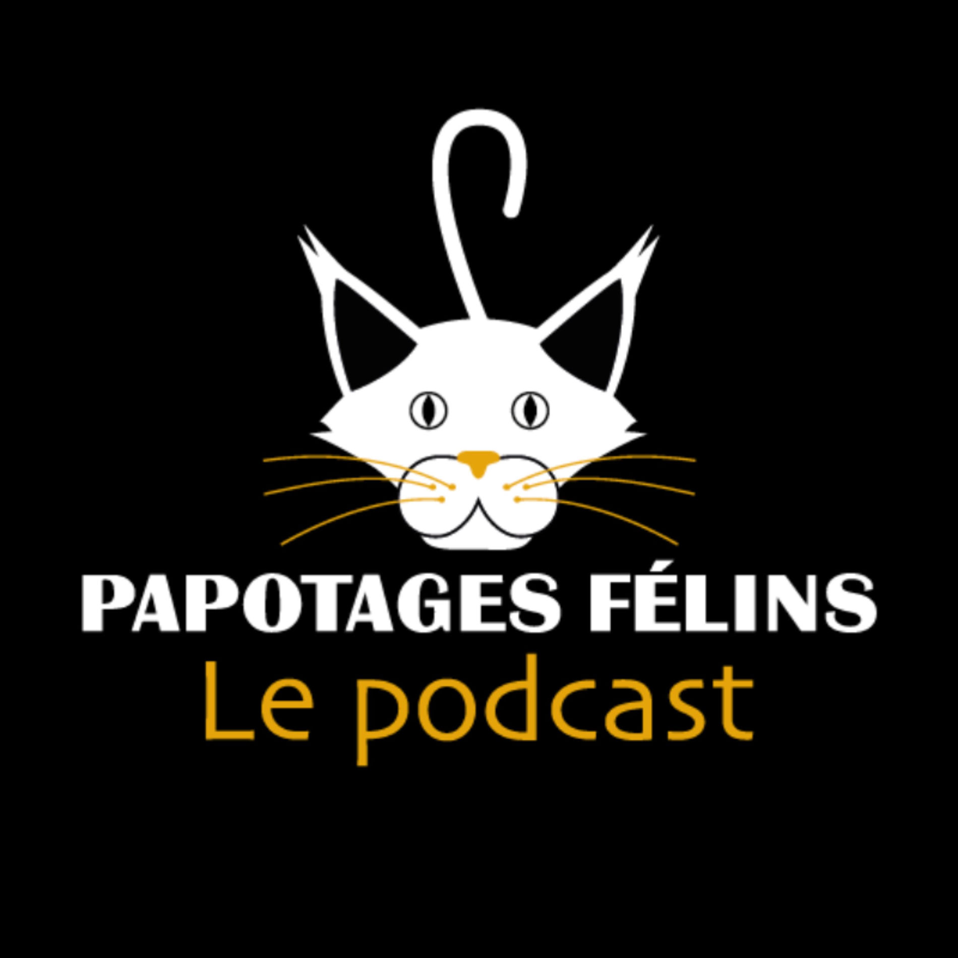 Show cover of Papotages félins