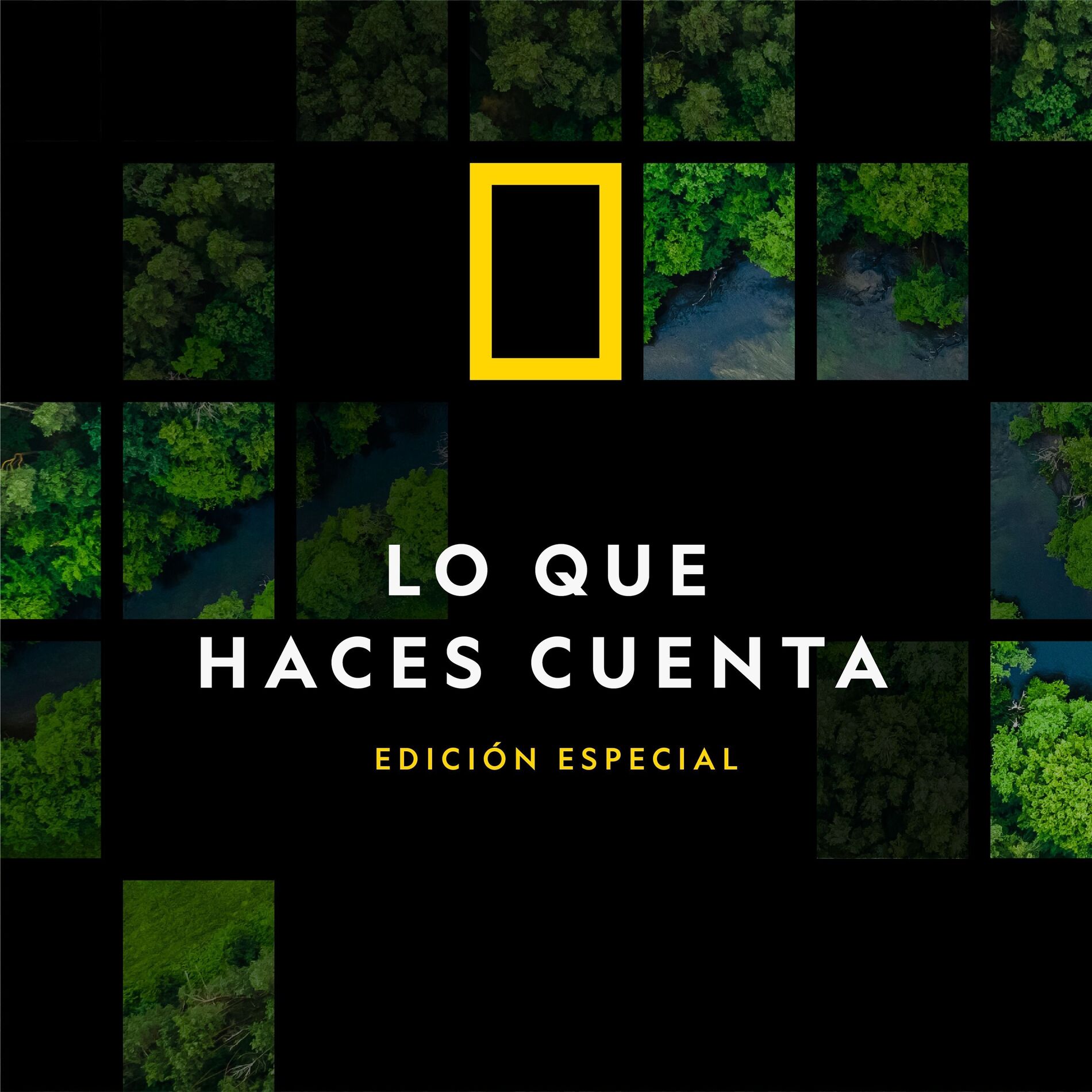 Show cover of Lo Que Haces Cuenta