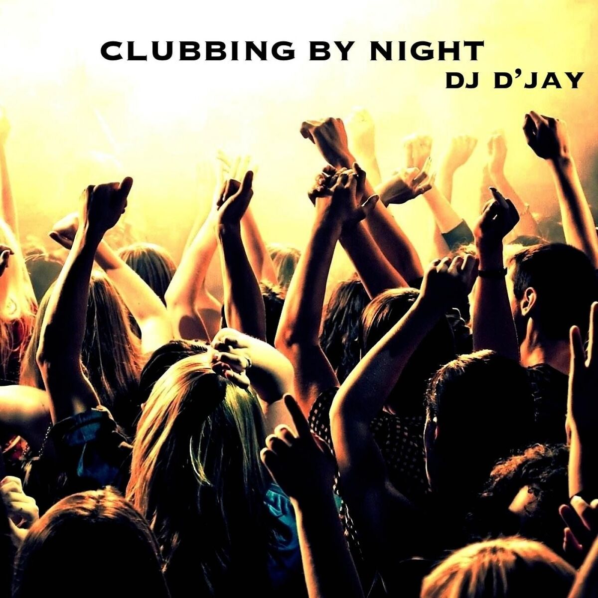Show cover of Clubbing by Night