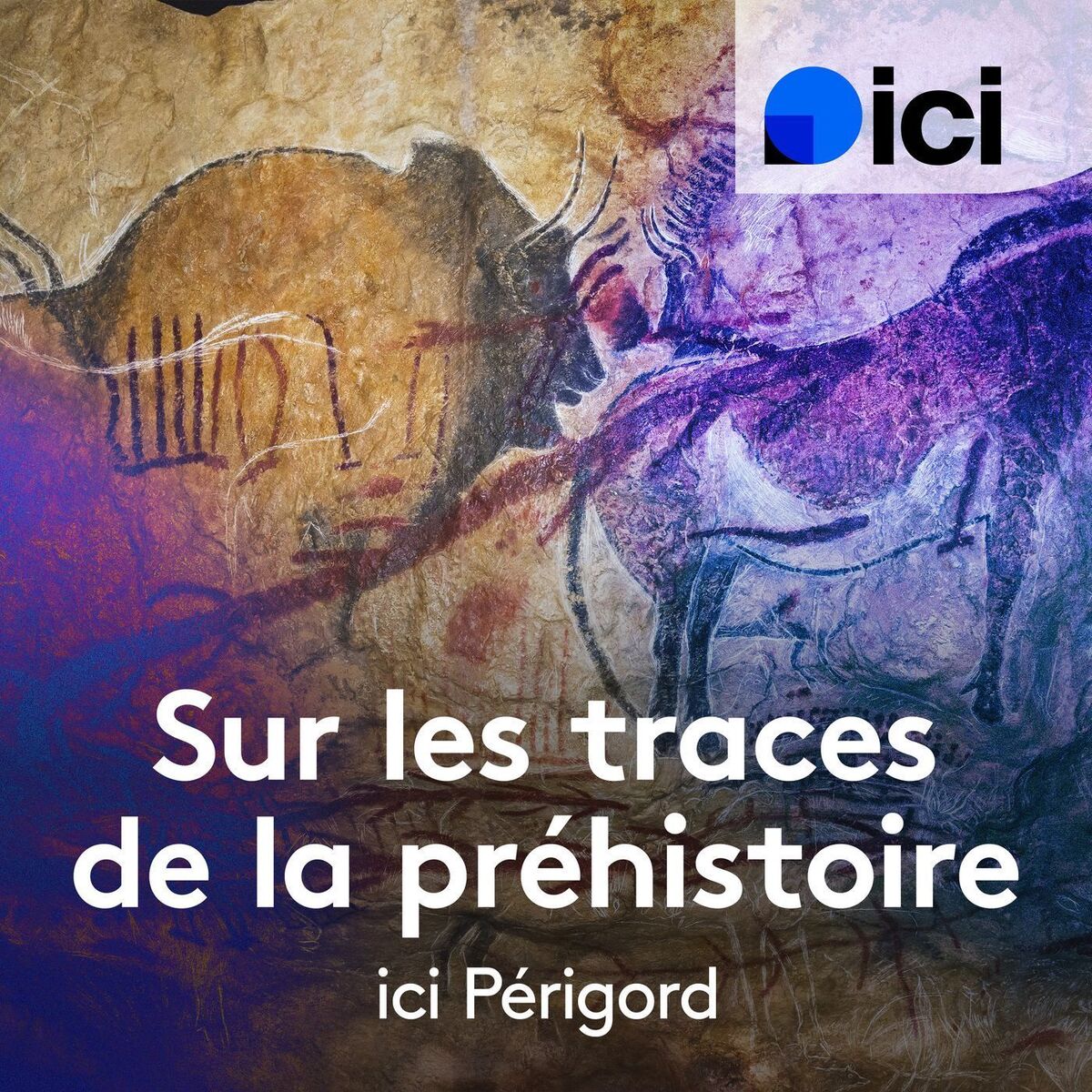 Show cover of Sur les traces de la Préhistoire