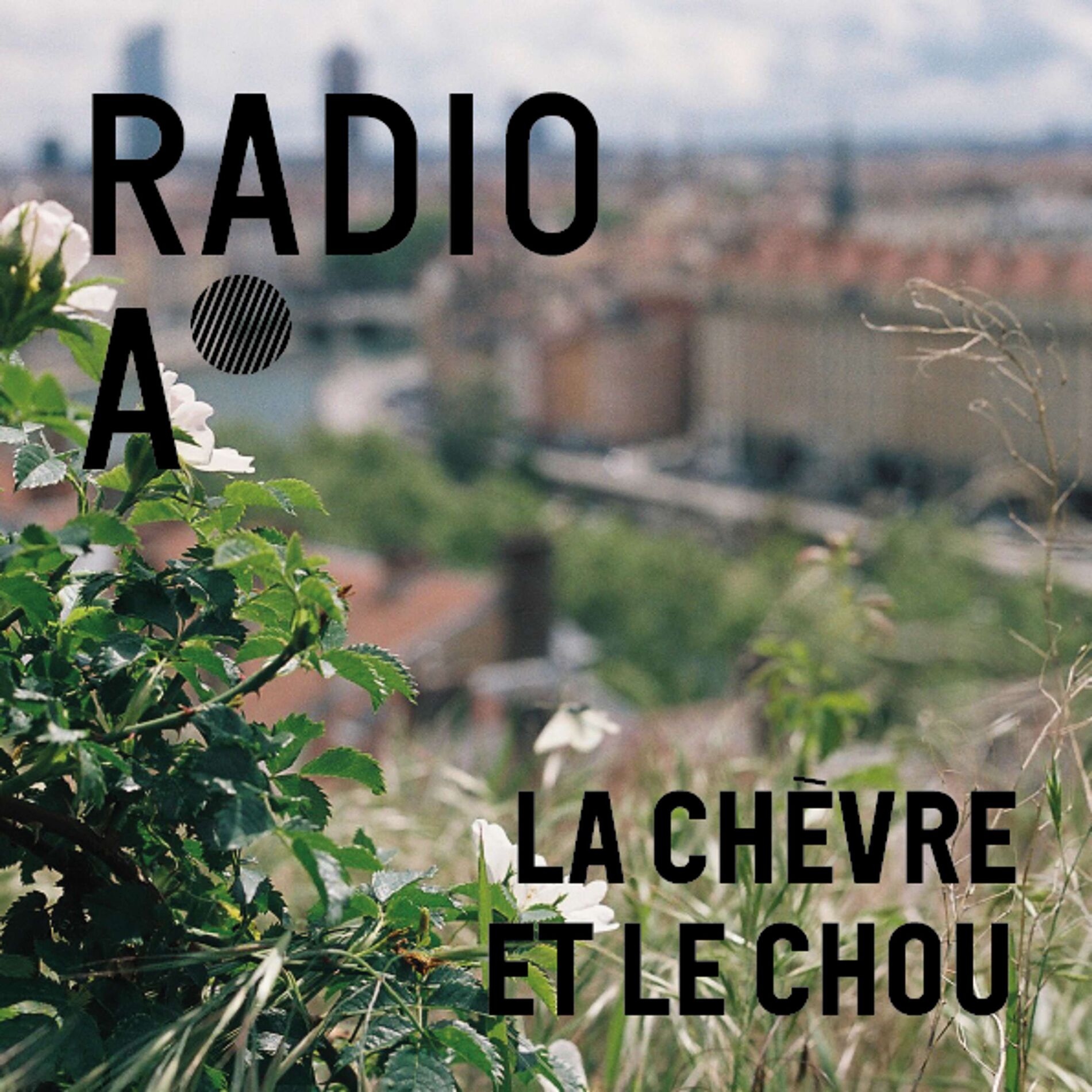 Show cover of La chèvre et le chou