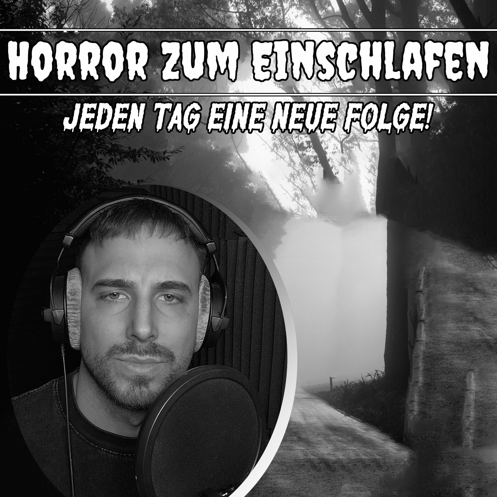 Show cover of Horror zum Einschlafen