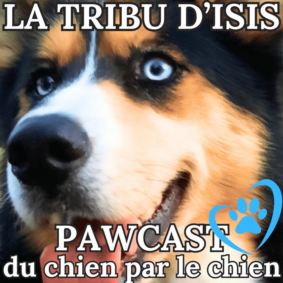 Show cover of La Tribu d'Isis - pawcast du chien par le chien