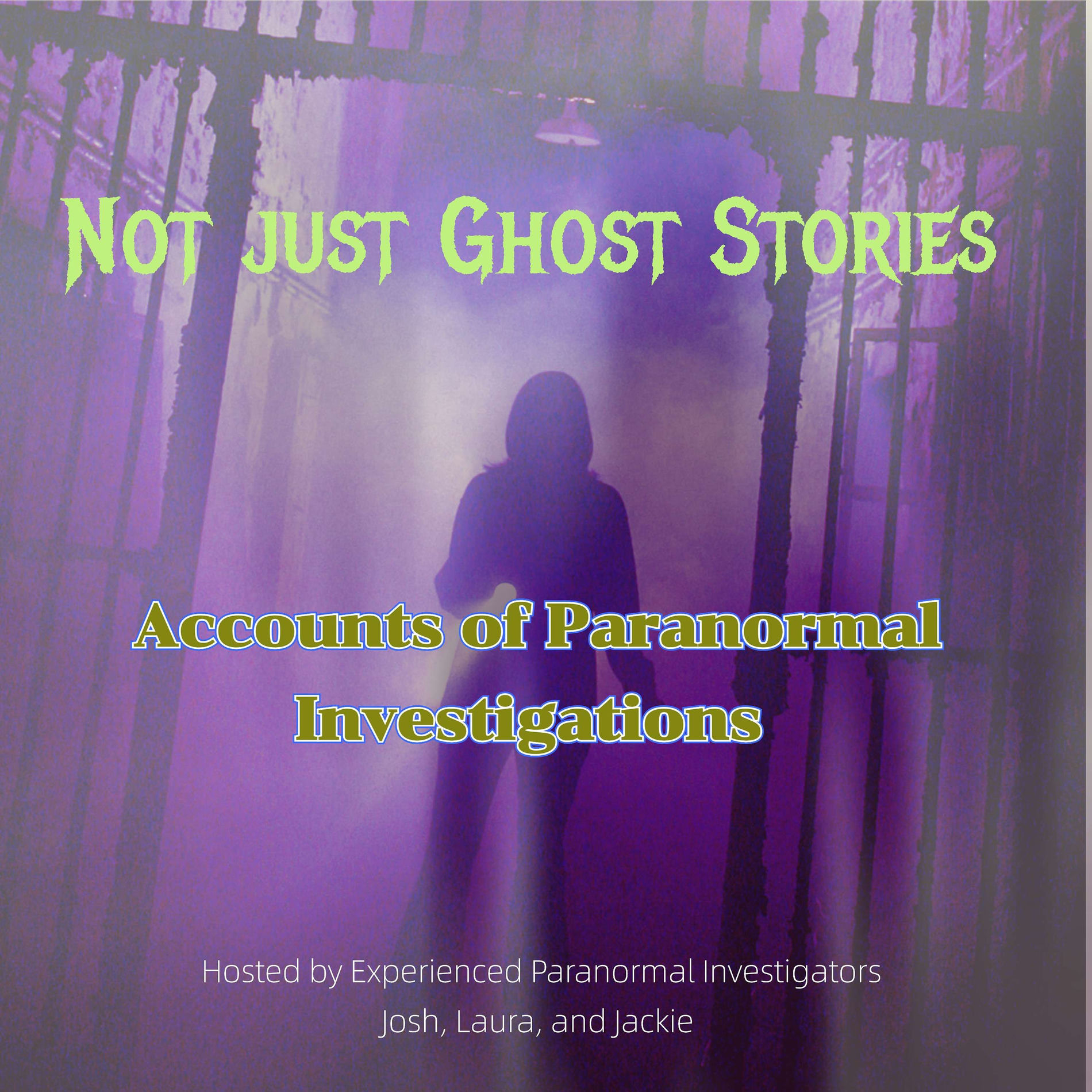 Show cover of Not Just Ghost Stories