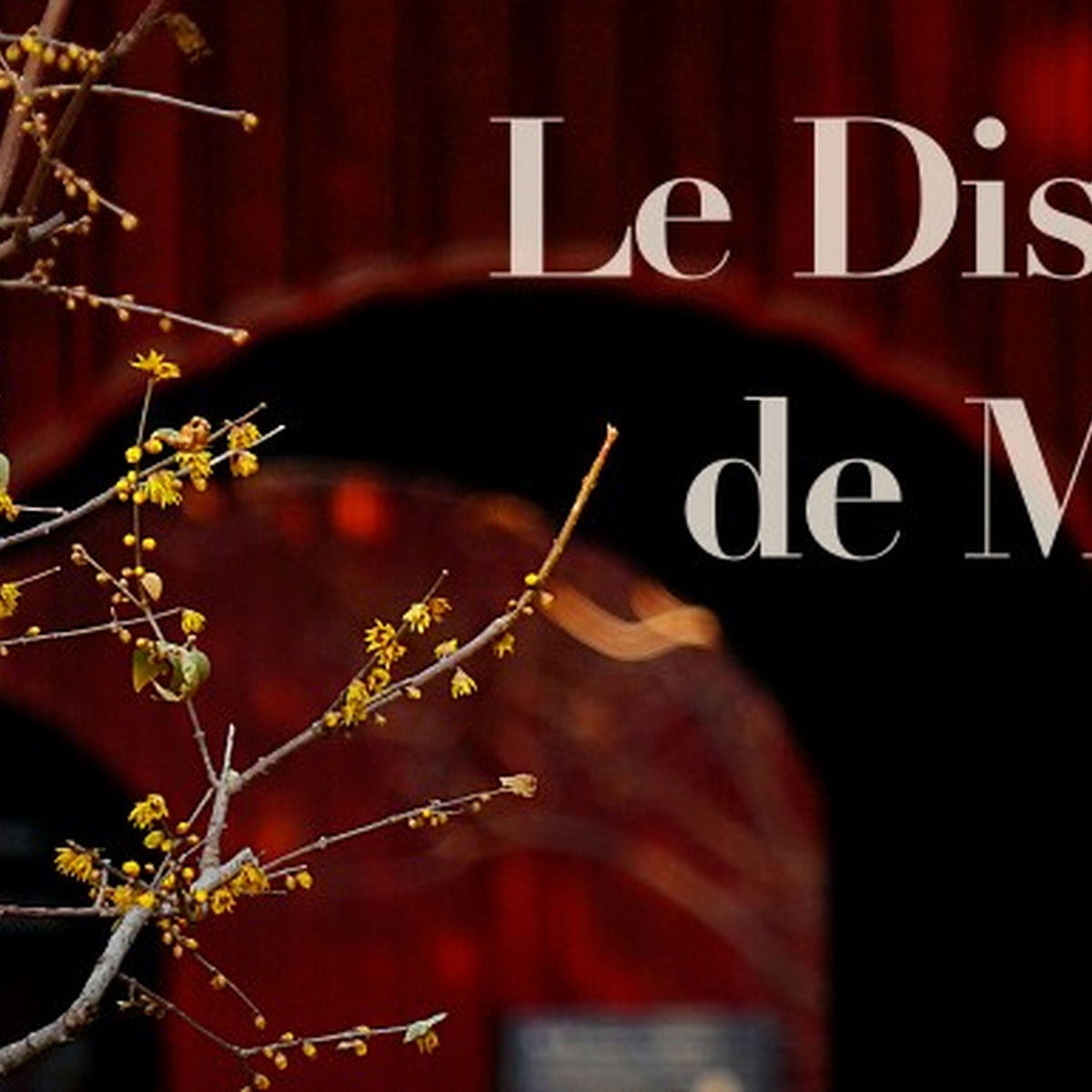Show cover of Le Diseur de Mots