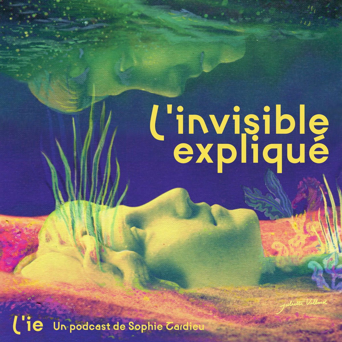 Show cover of L'invisible expliqué