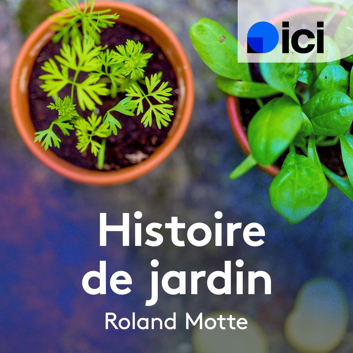 Show cover of Histoire de jardin en Lorraine