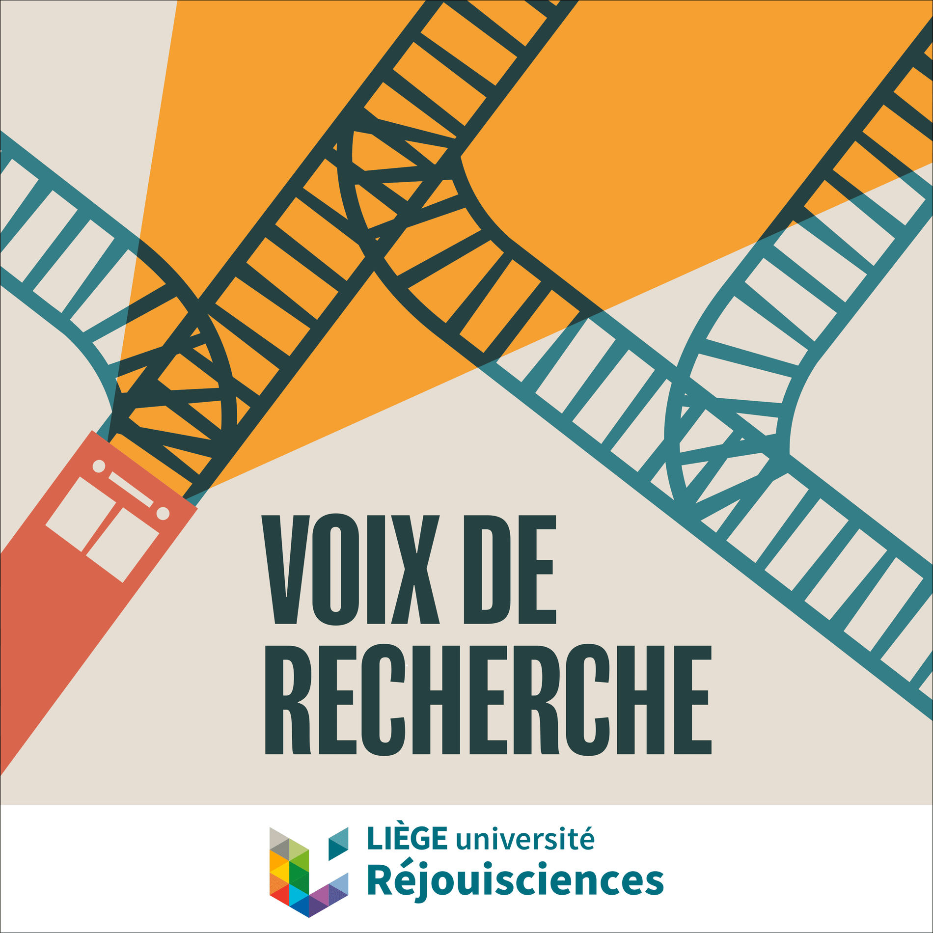 Show cover of Voix de recherche