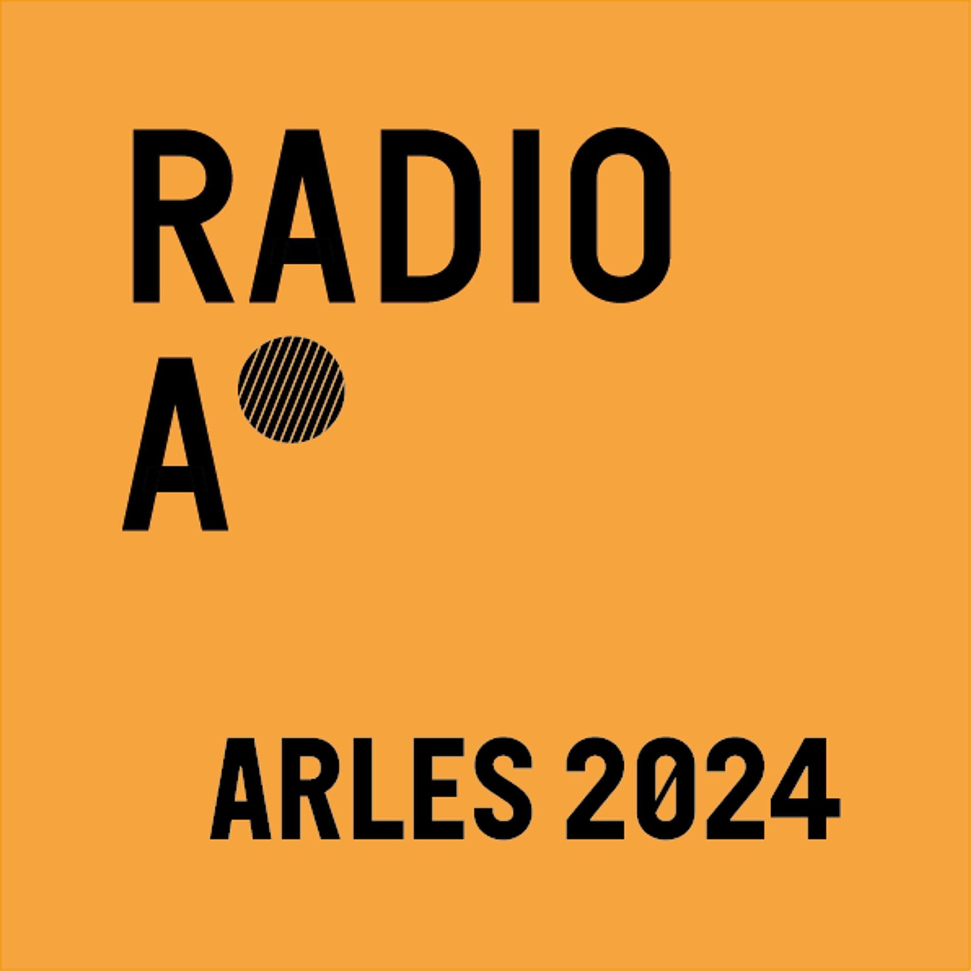 Show cover of A la rencontre de la photographie - Arles 2024